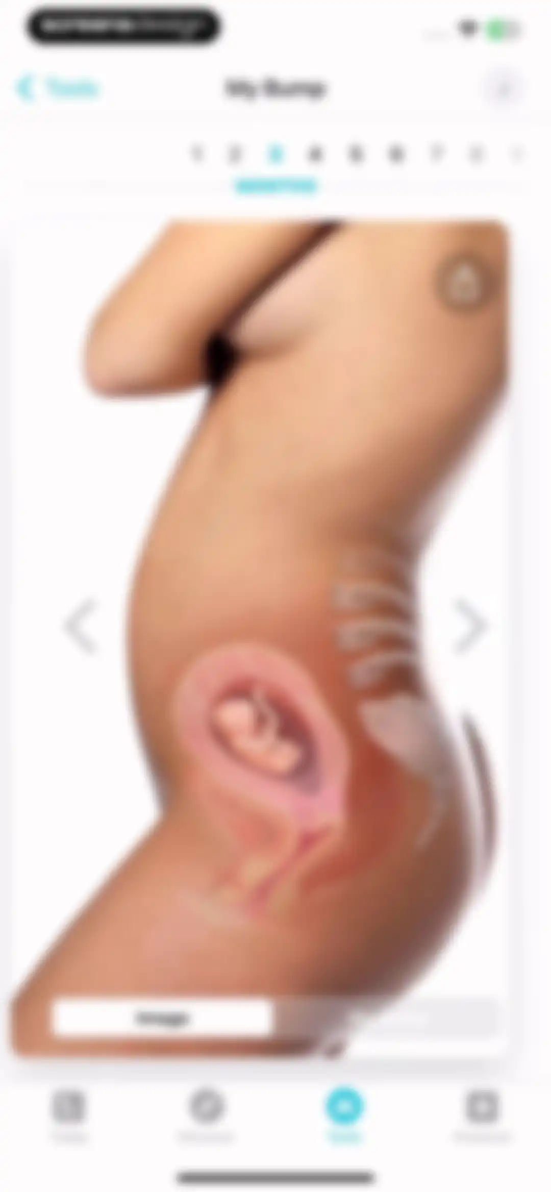 Pregnancy + | Tracker App screen 38