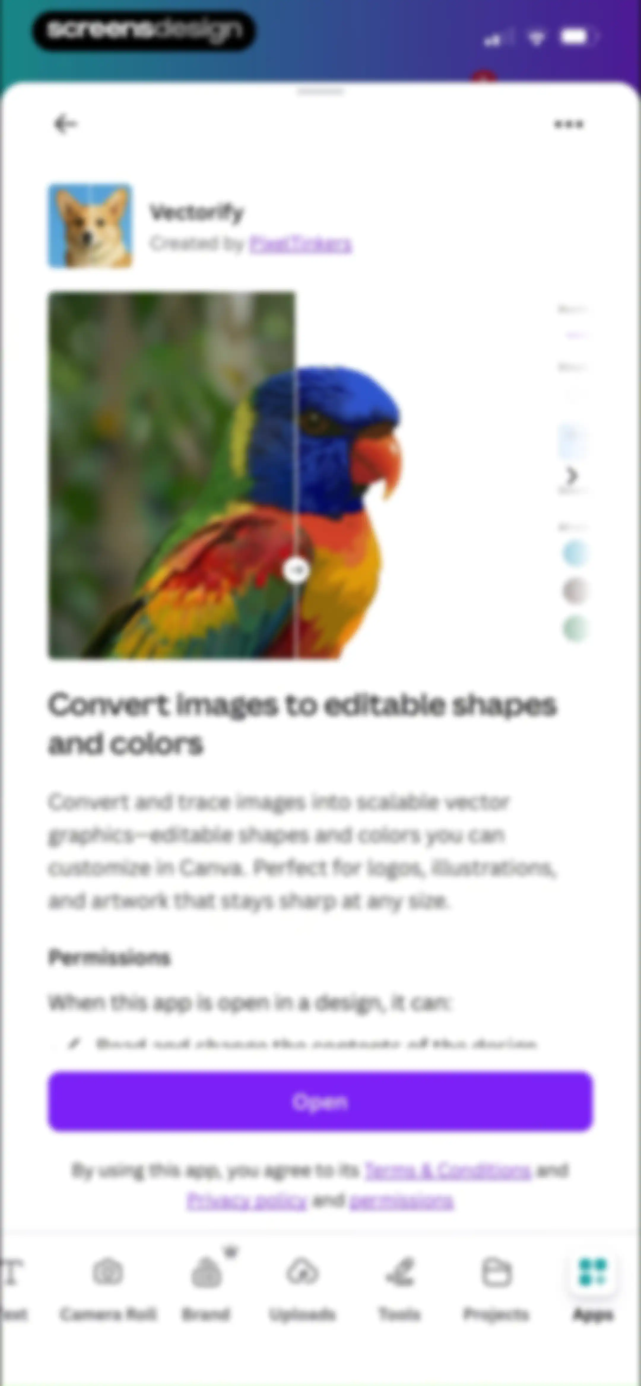 Canva: AI Video & Photo Editor screen 51