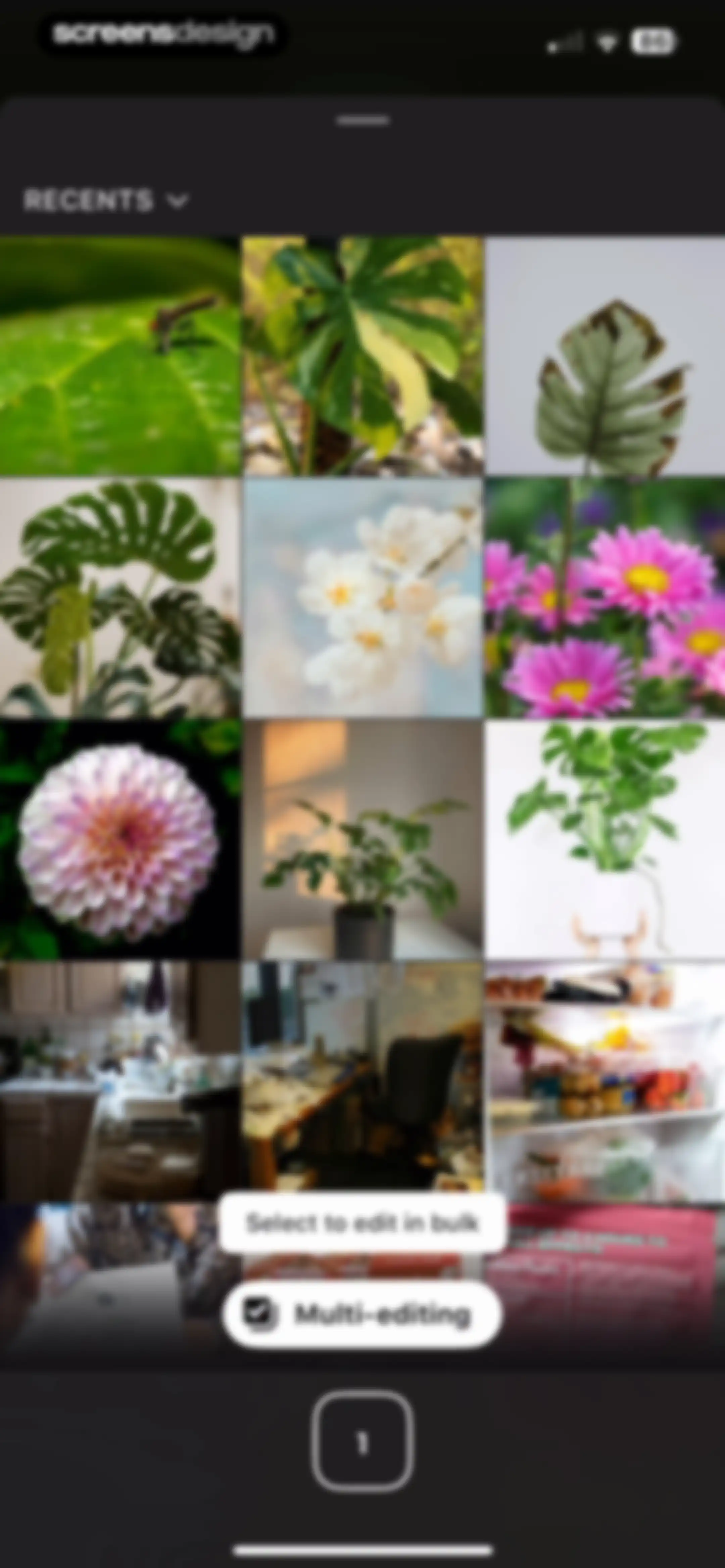 Prequel: Photo & Video Editor screen 81