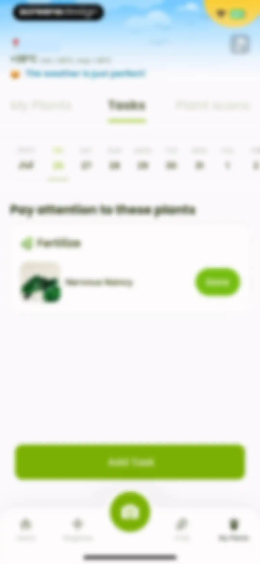 Plant Identifier & Care: Ficus screen 64