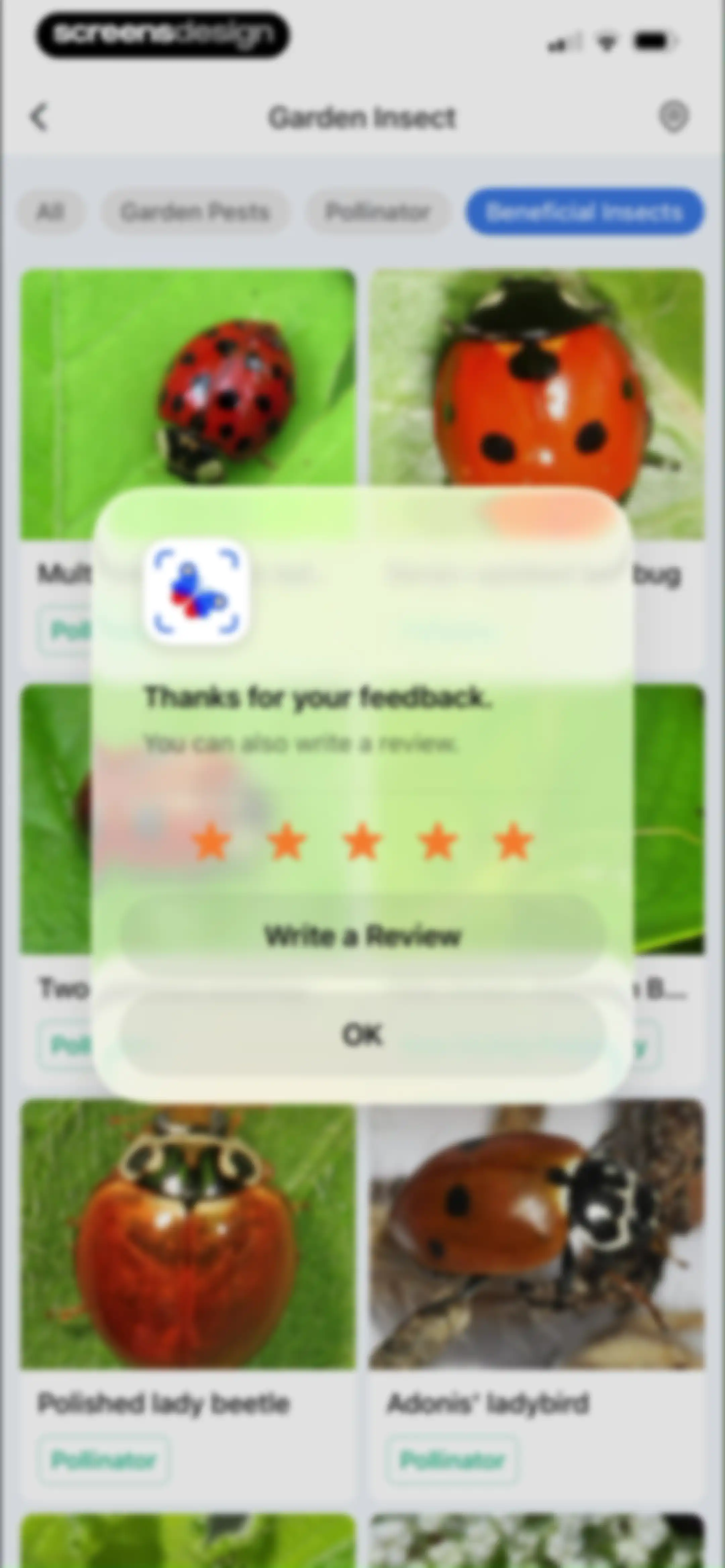 Picture Insect: Bug Identifier screen 76