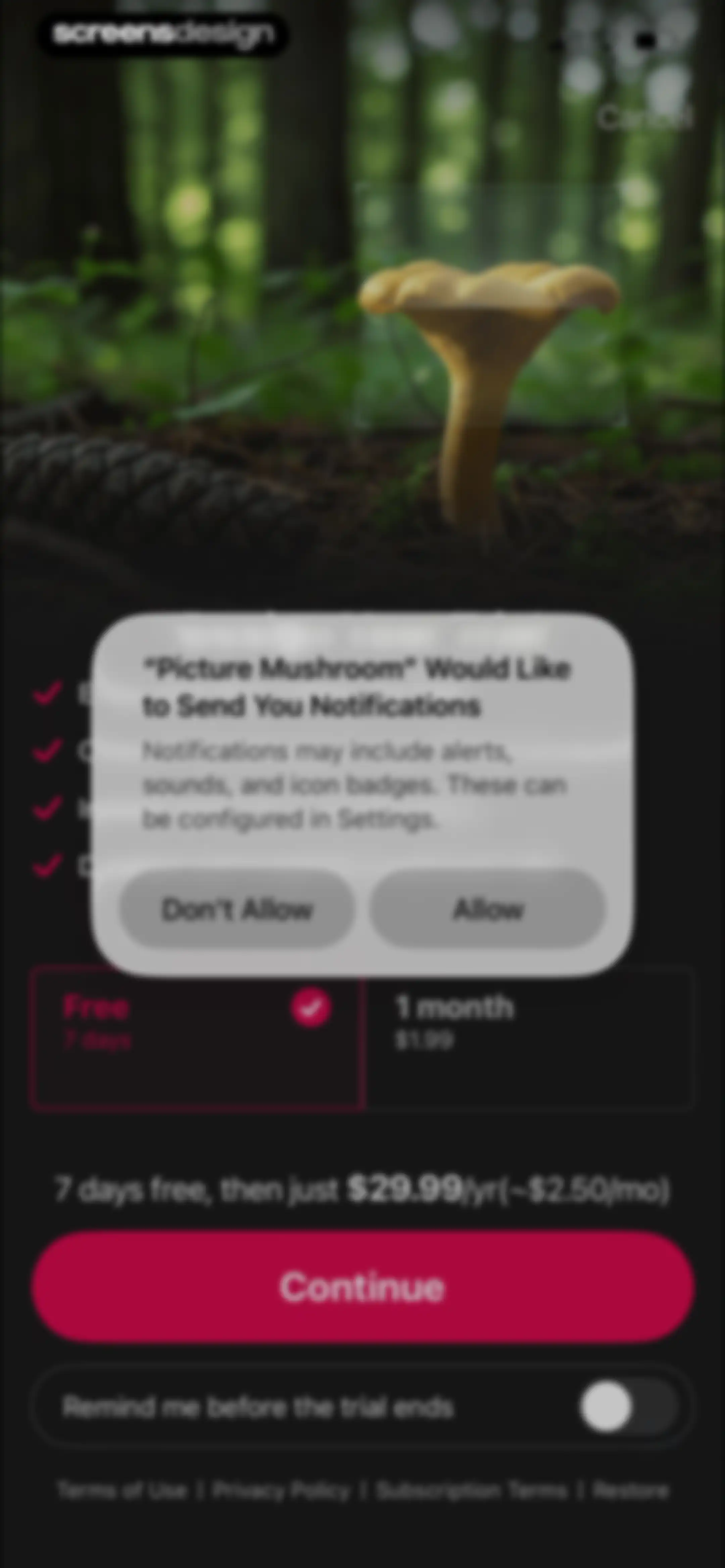 Picture Mushroom: Identifier screen 14