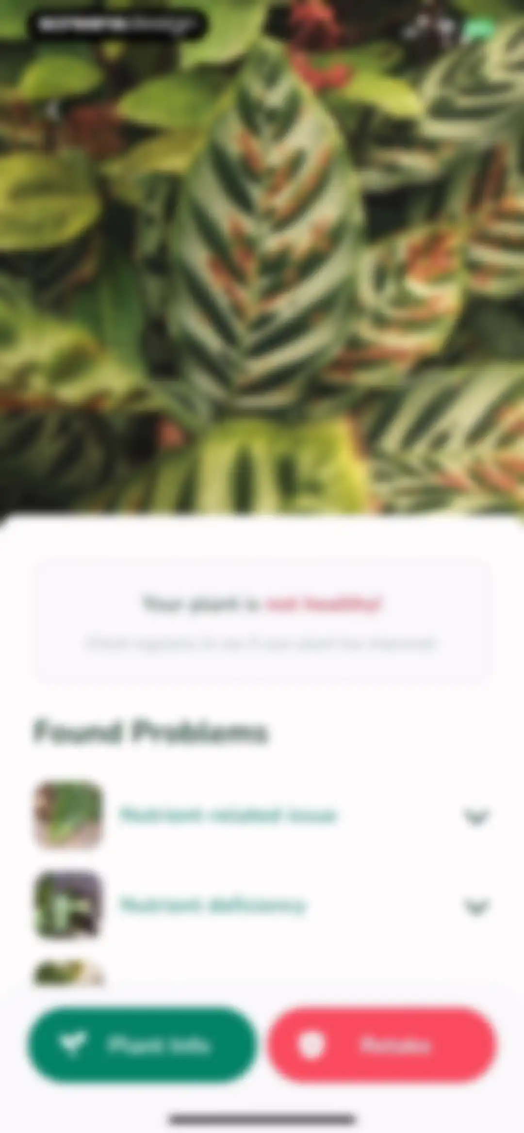Plantify: AI Plant Identifier screen 30