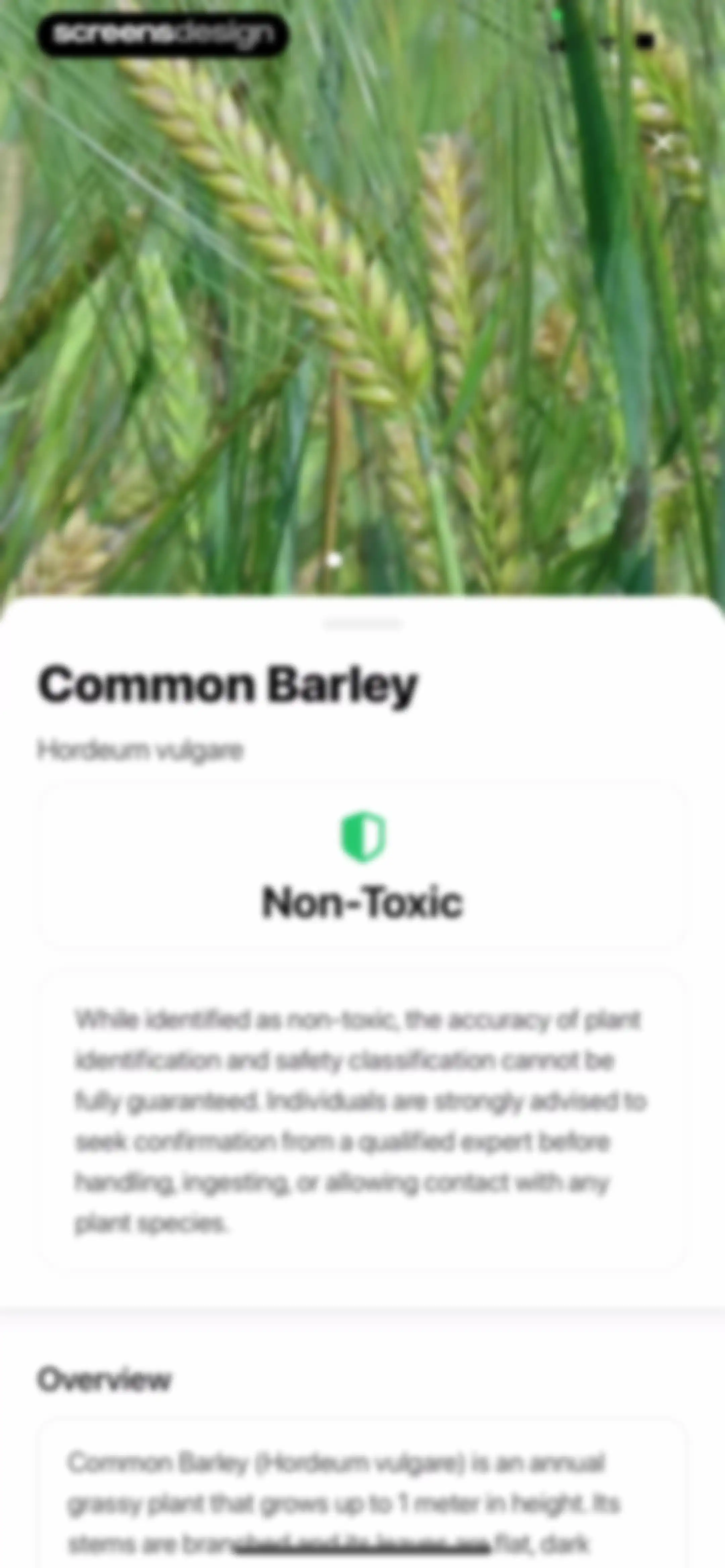 Plant App: Plant Identifier screen 71