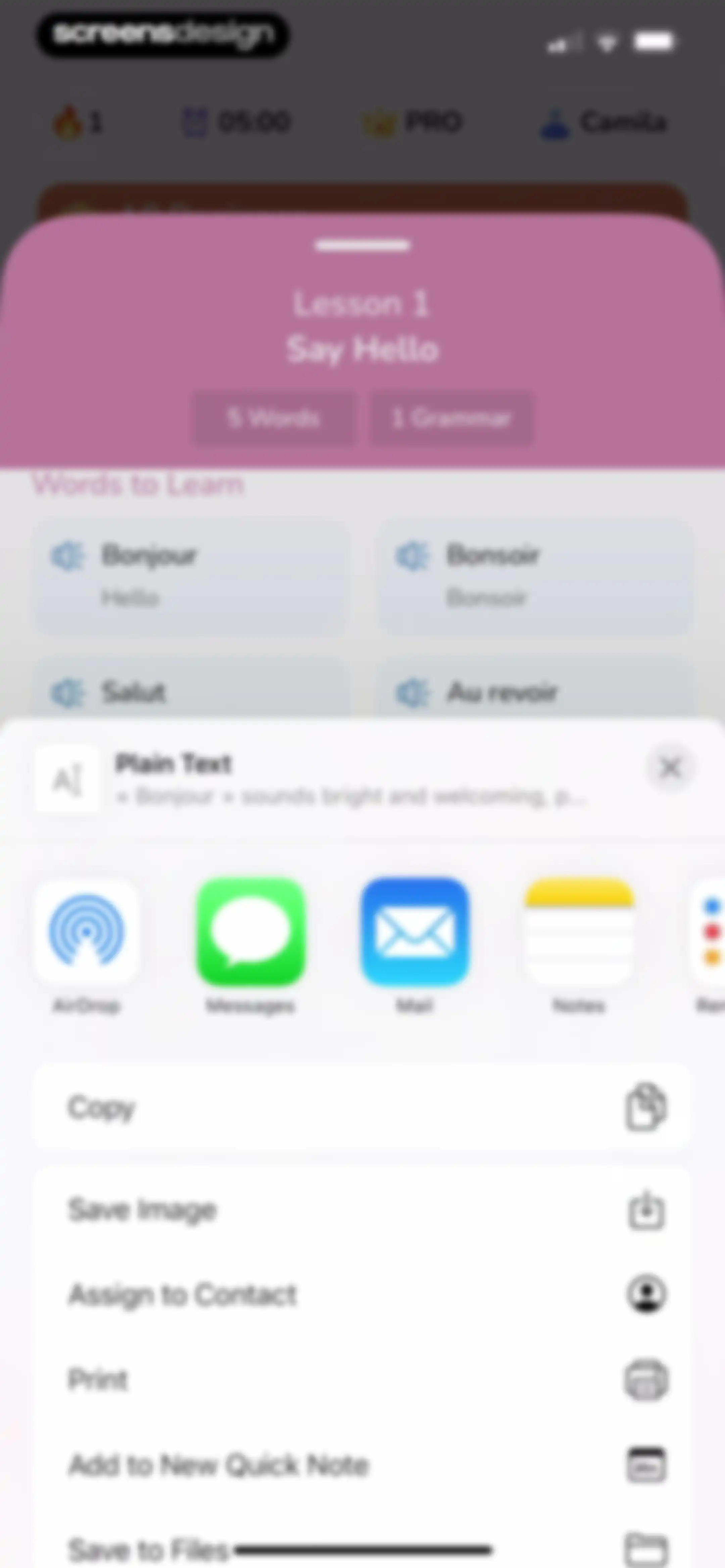Speak English: Lingo AI screen 21