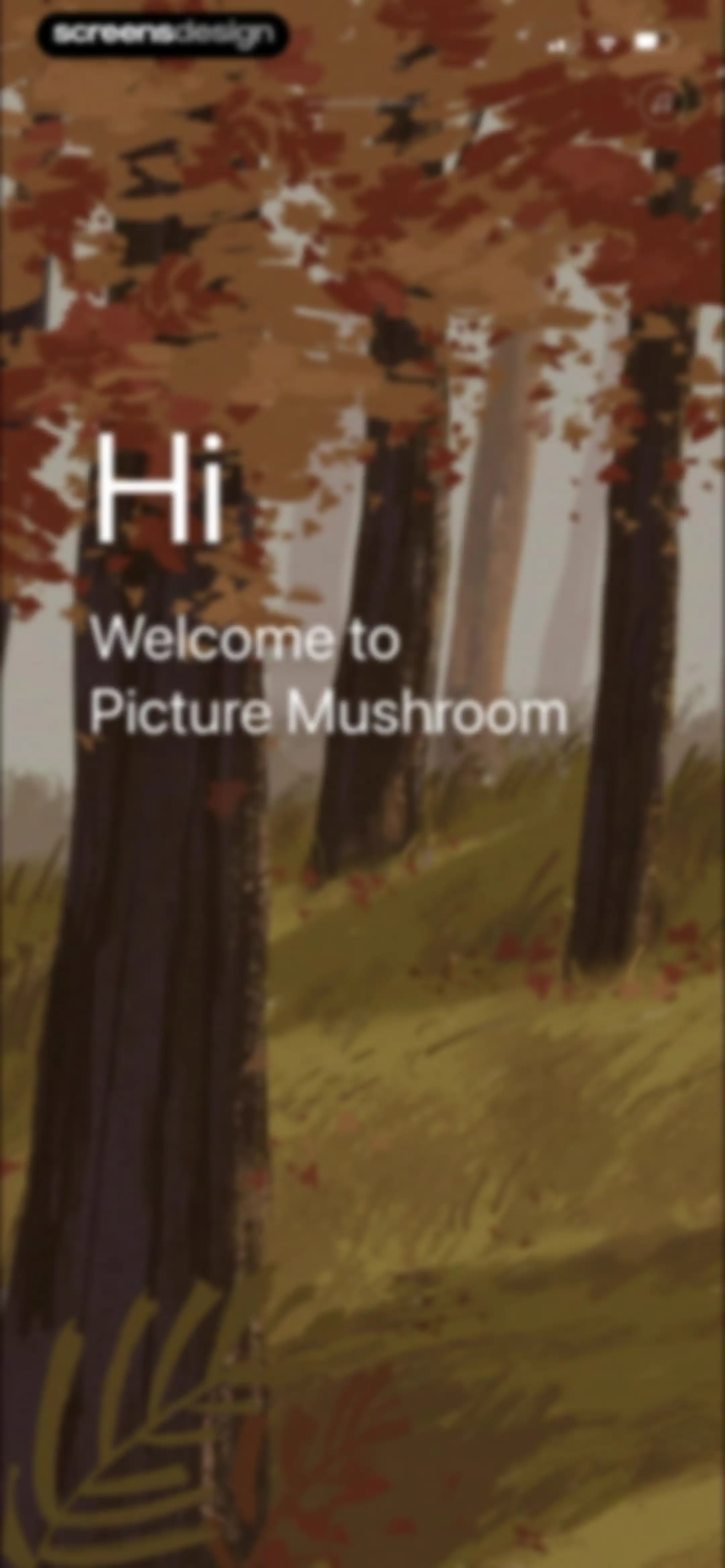 Picture Mushroom: Identifier screen 4