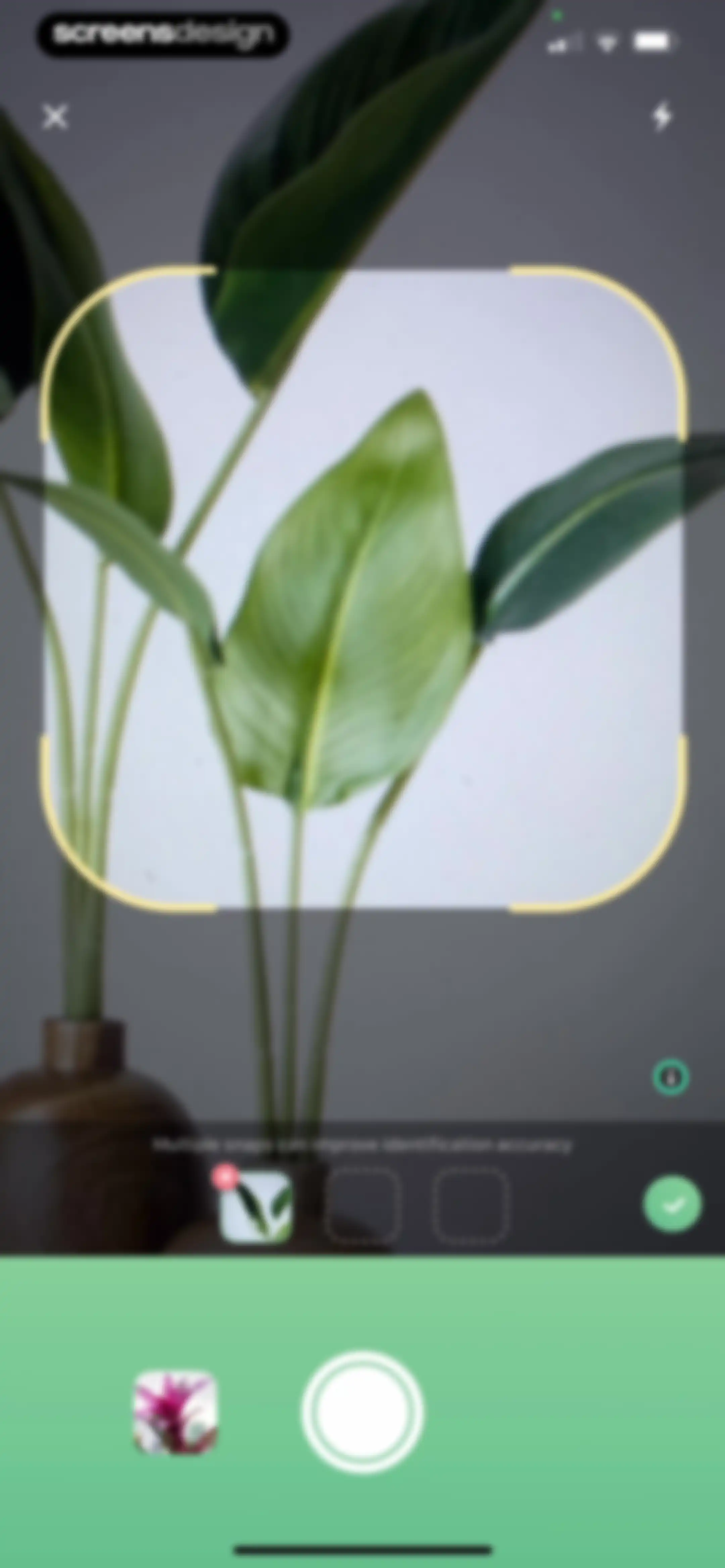 Blossom - Plant Care Guide screen 98