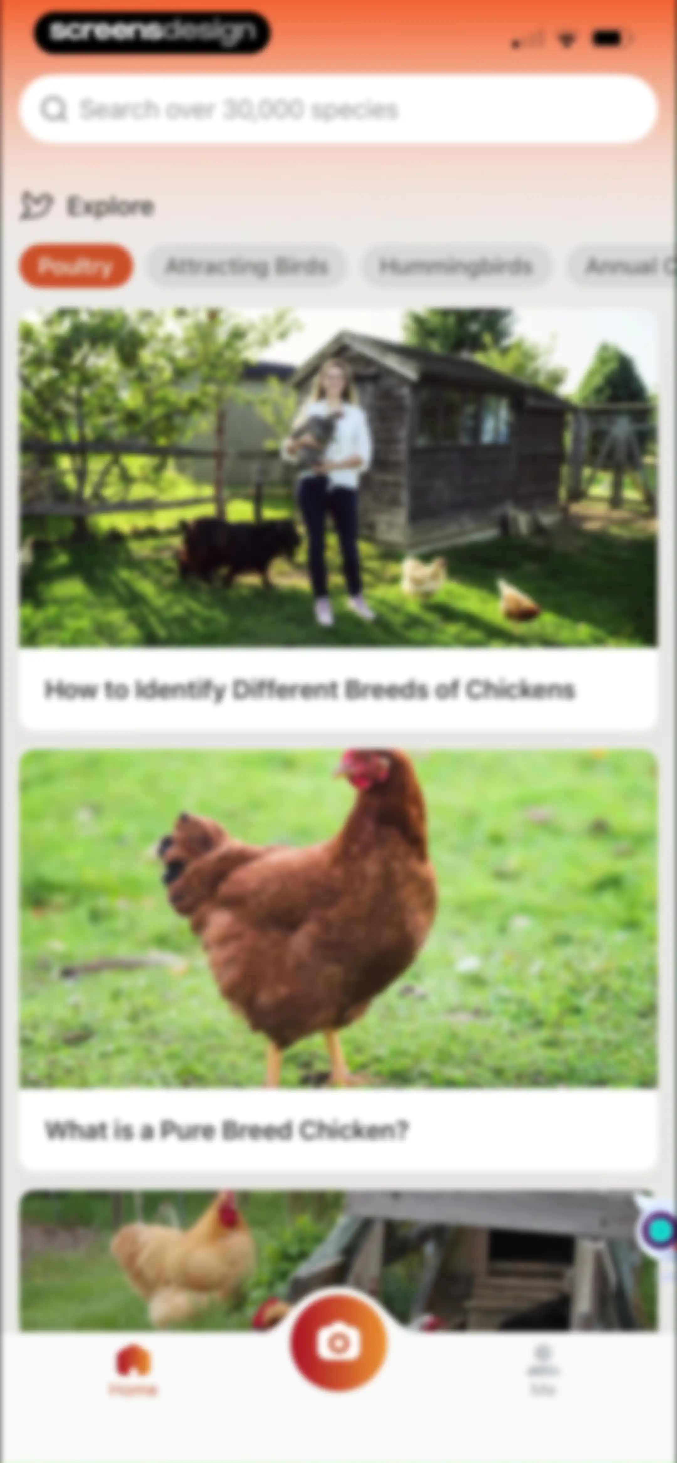 Picture Bird: Bird identifier screen 89