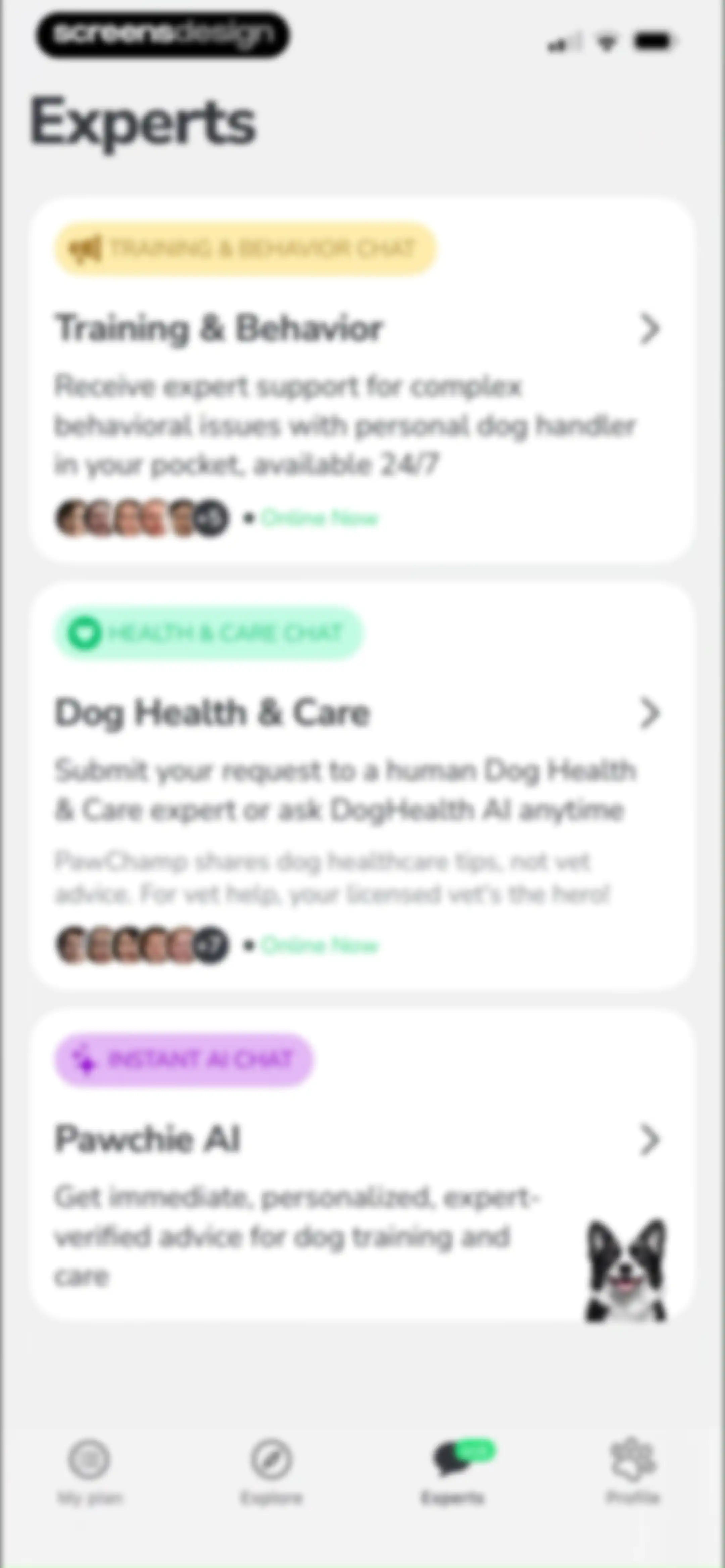 PawChamp - Dog Training & Care screen 41