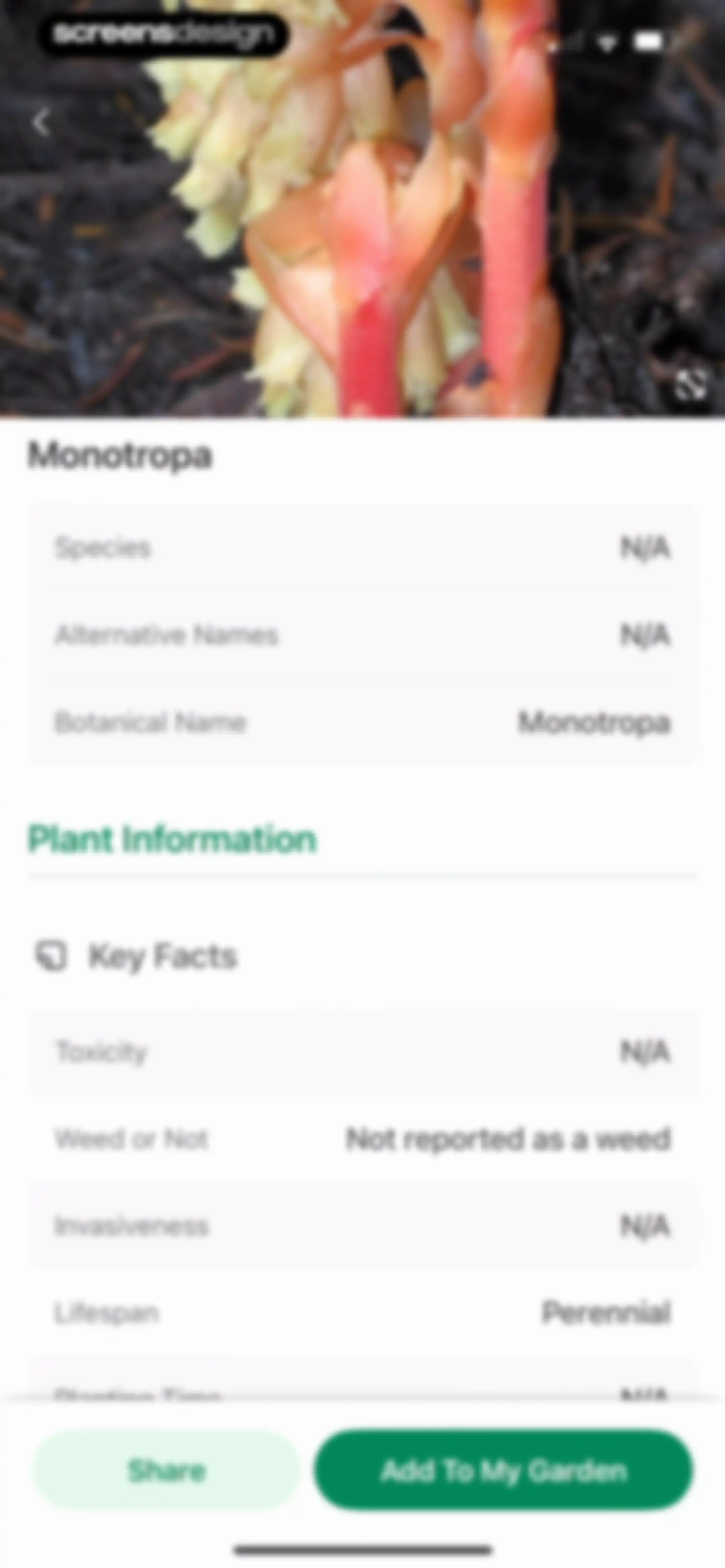 Identify My Plant Now screen 40