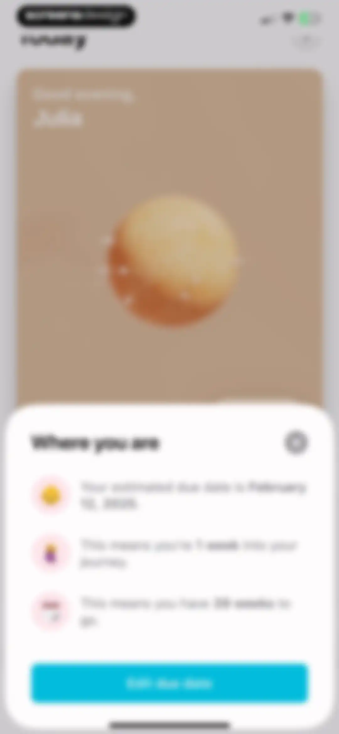 Pregnancy + | Tracker App screen 21