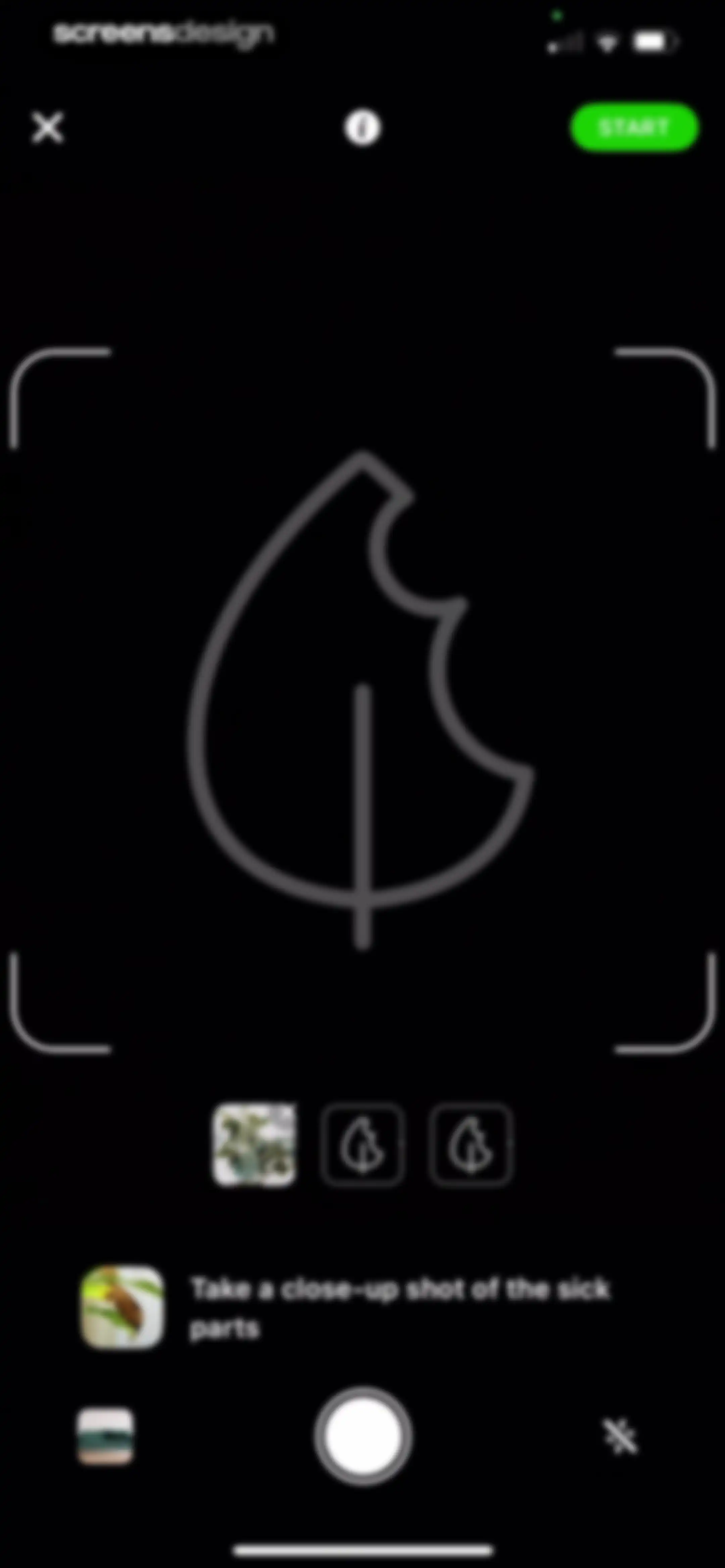 Plant Identifier & Care App screen 47