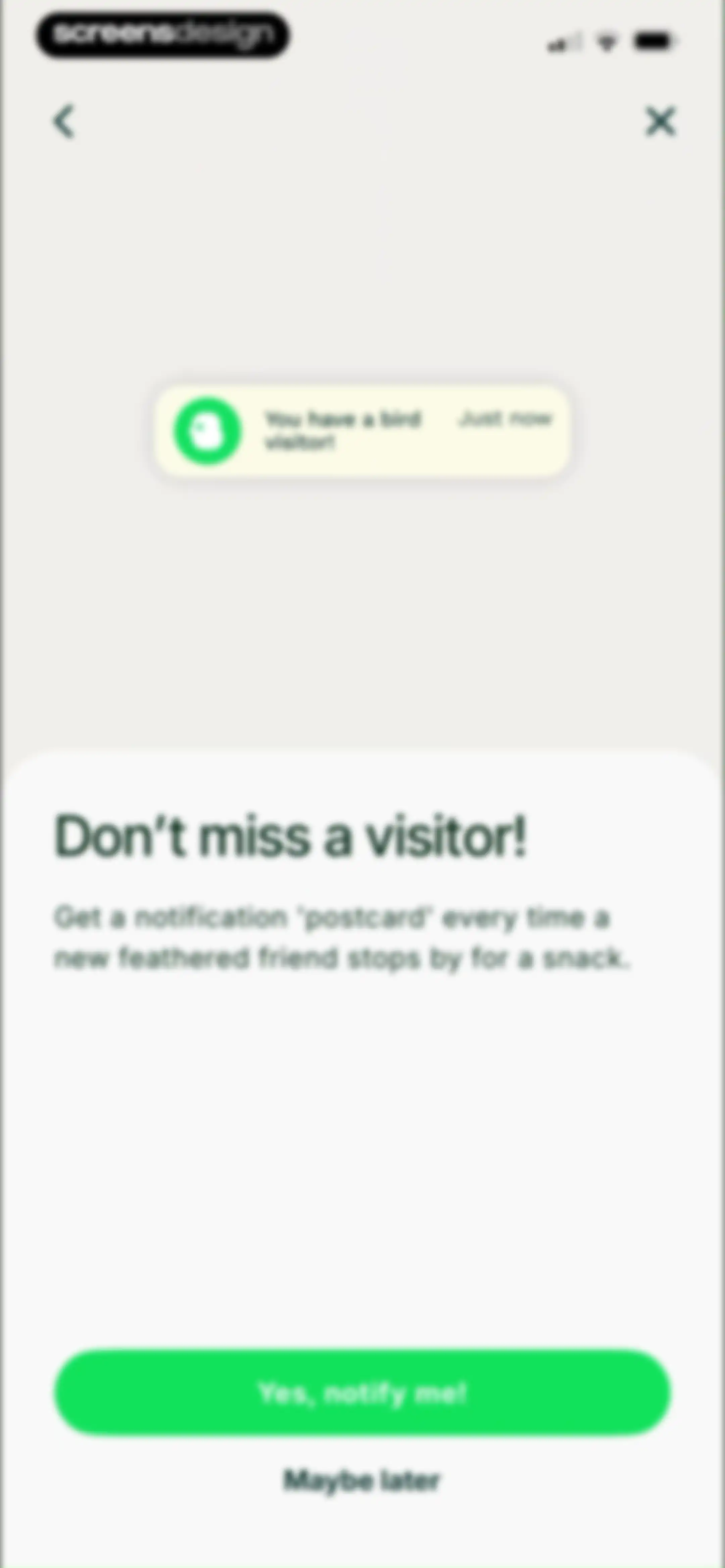 Birdbuddy: ID & Collect Birds screen 11