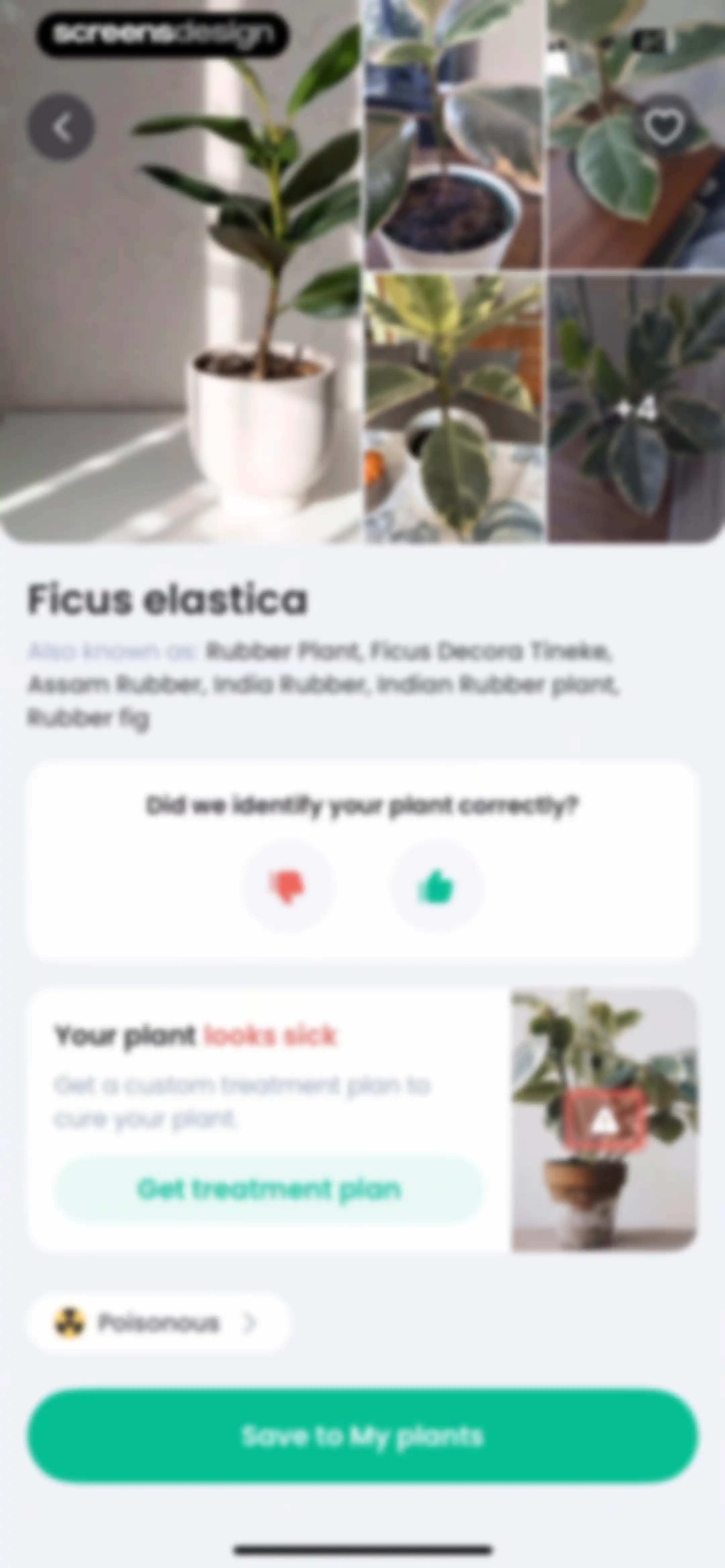 PlantIn: Plant Identifier・Care screen 146