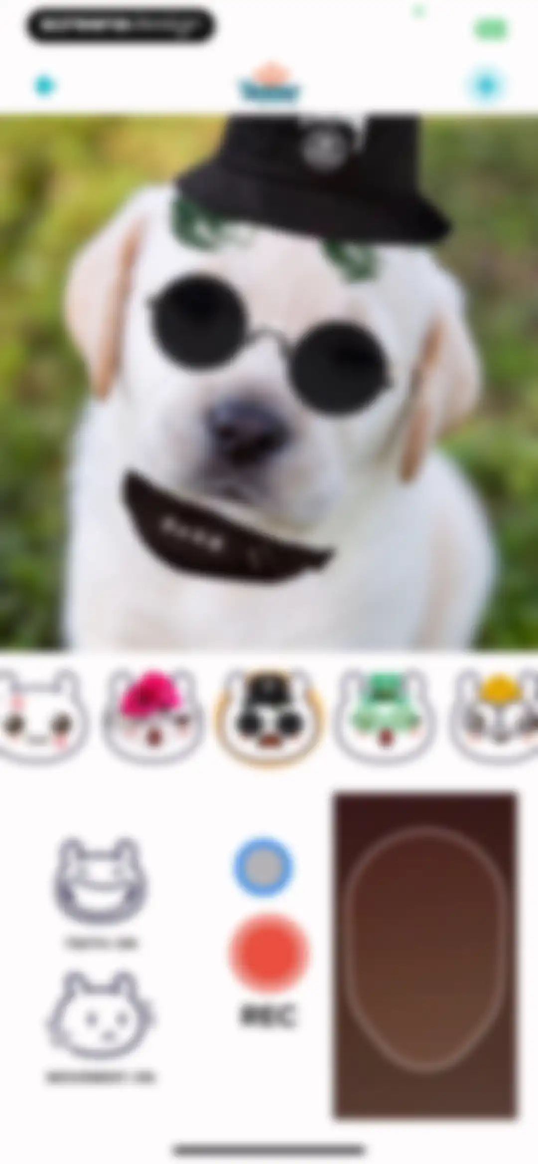 My Talking Animal & Pet App screen 19