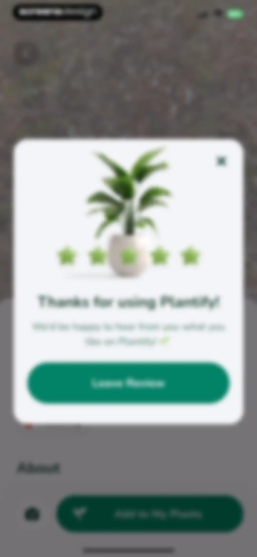Plantify: AI Plant Identifier screen 22