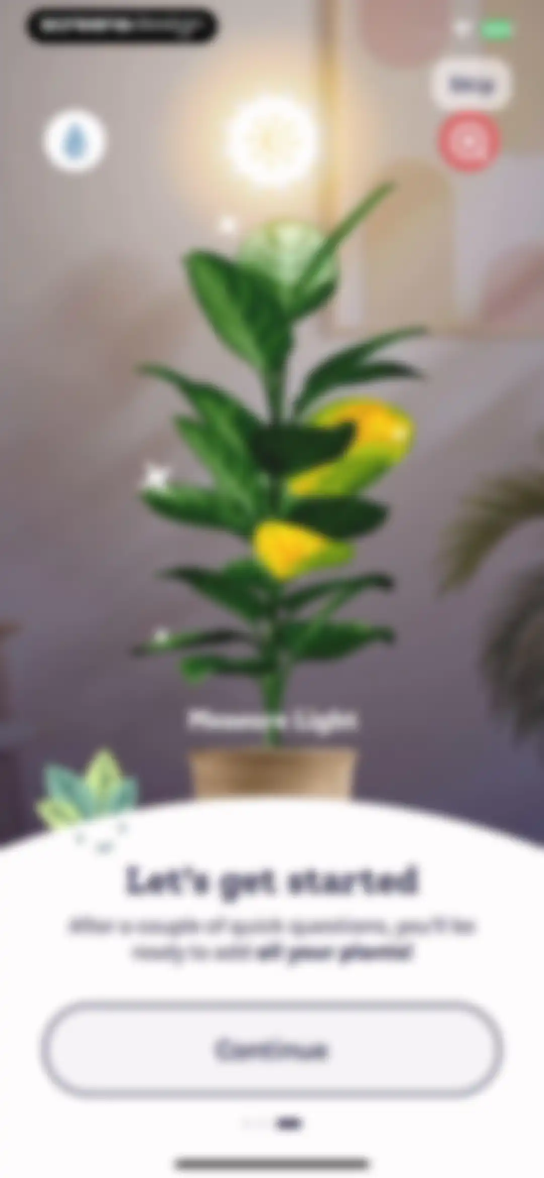 Plant Identifier, Care: Planty screen 11