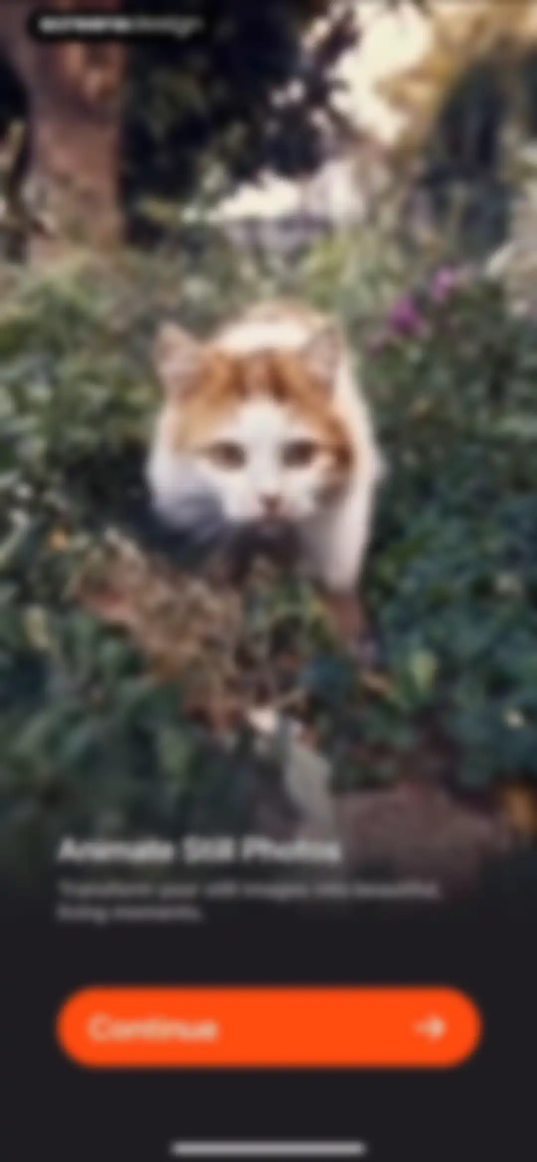 AI Video – AI Video Generator screen 3