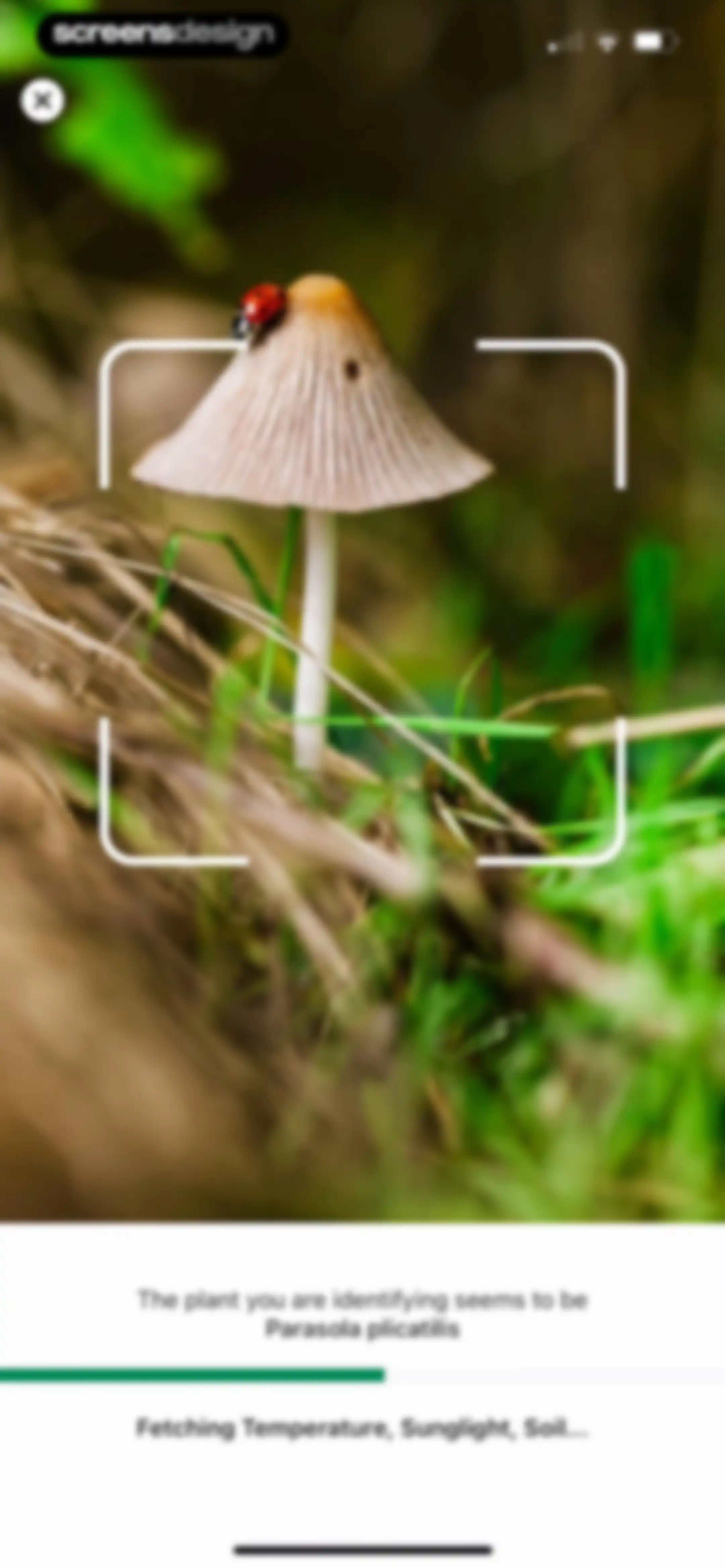 Identify My Plant Now screen 62