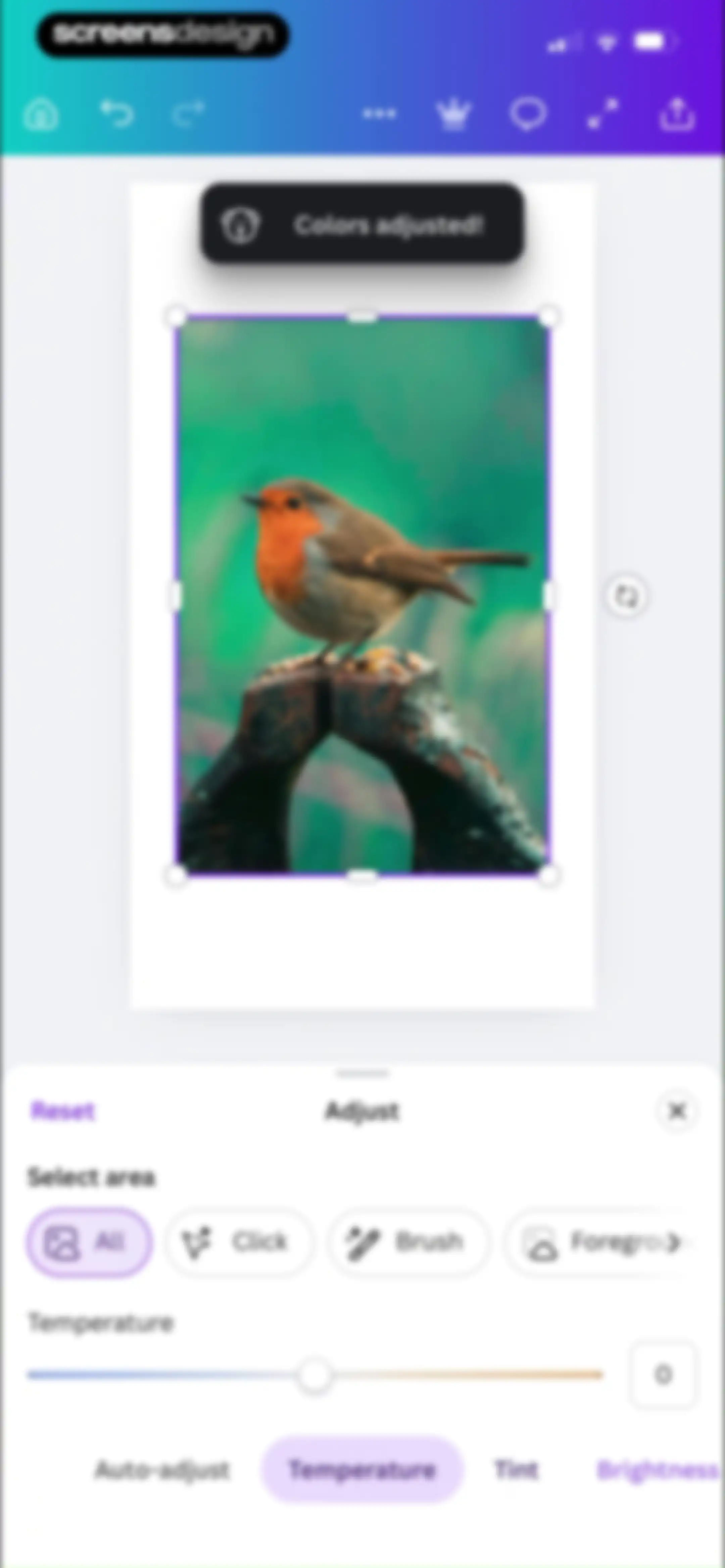 Canva: AI Video & Photo Editor screen 31
