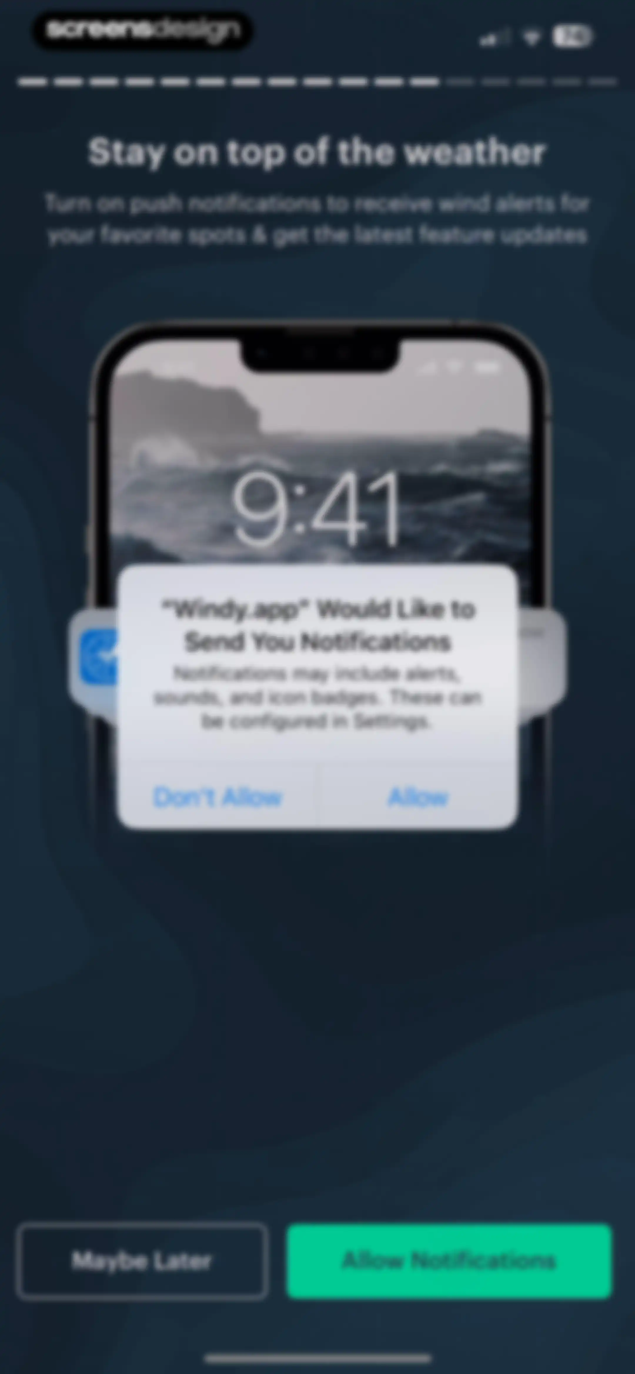 Windy.app — Wind, Tides, Radar screen 17