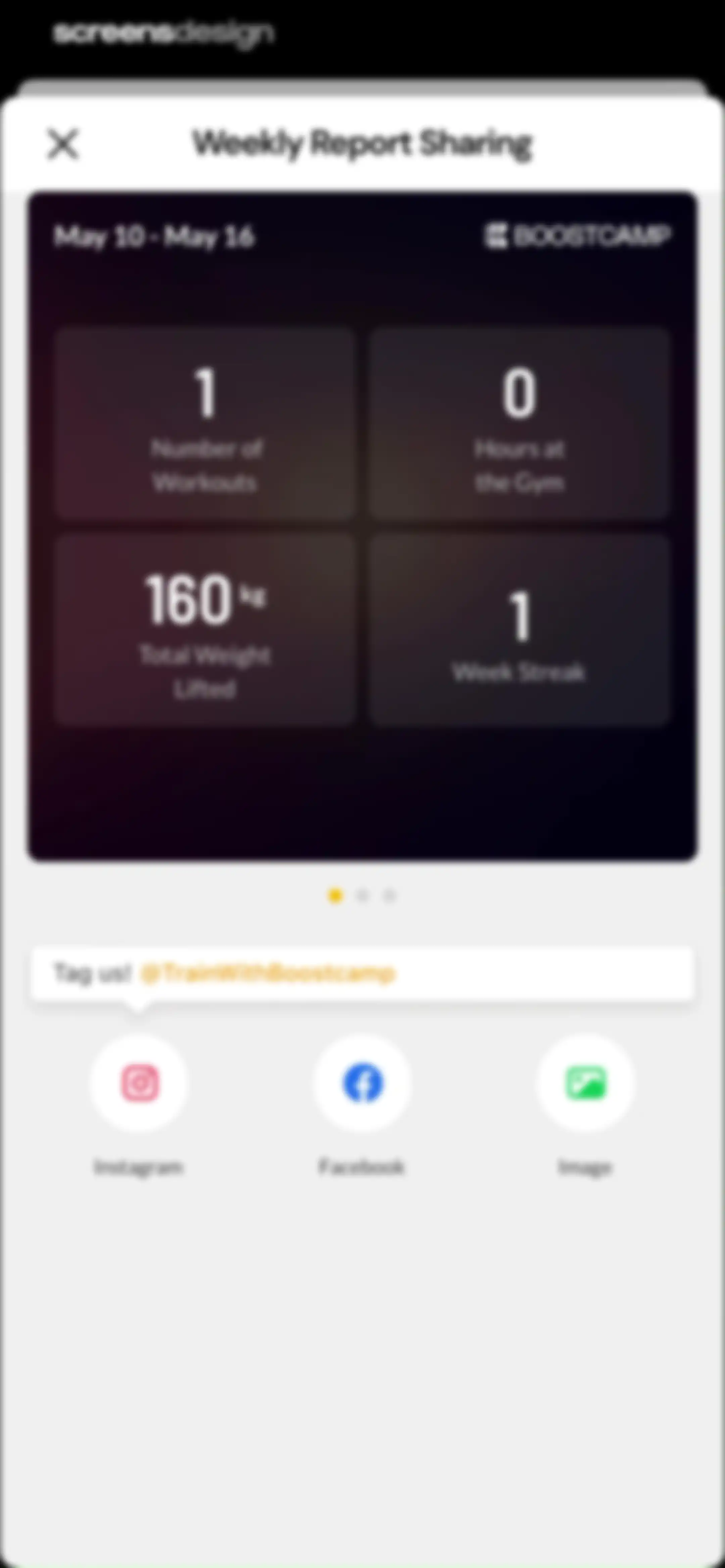 Boostcamp: Workout Programs screen 162