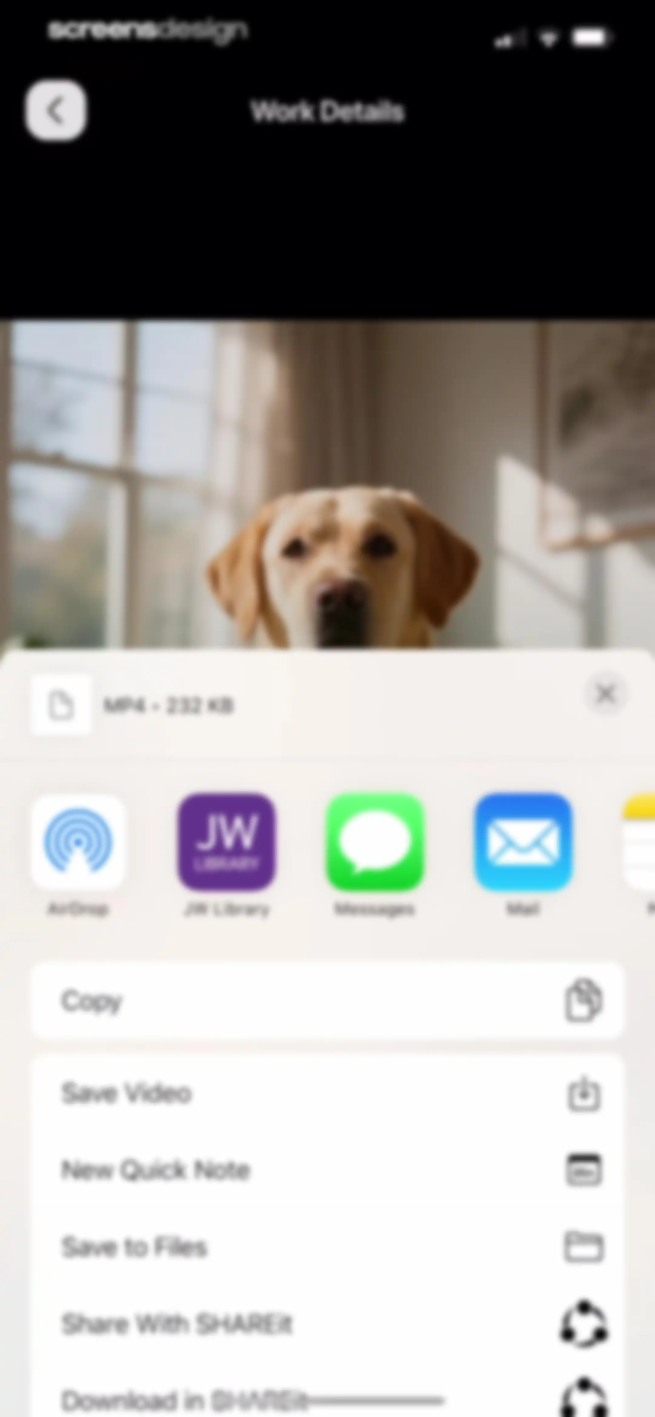 PetFun-Pet Talk & Camera screen 51