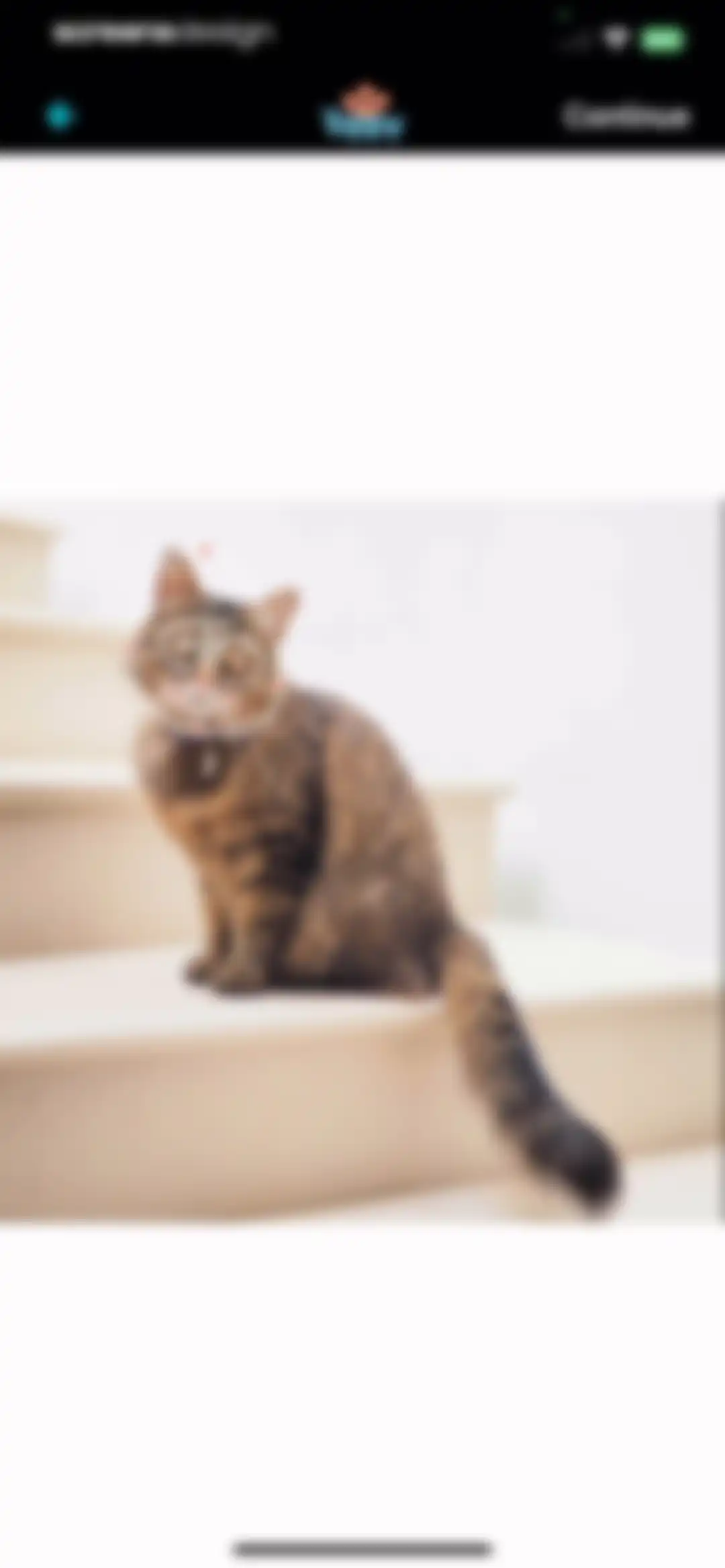 My Talking Animal & Pet App screen 12
