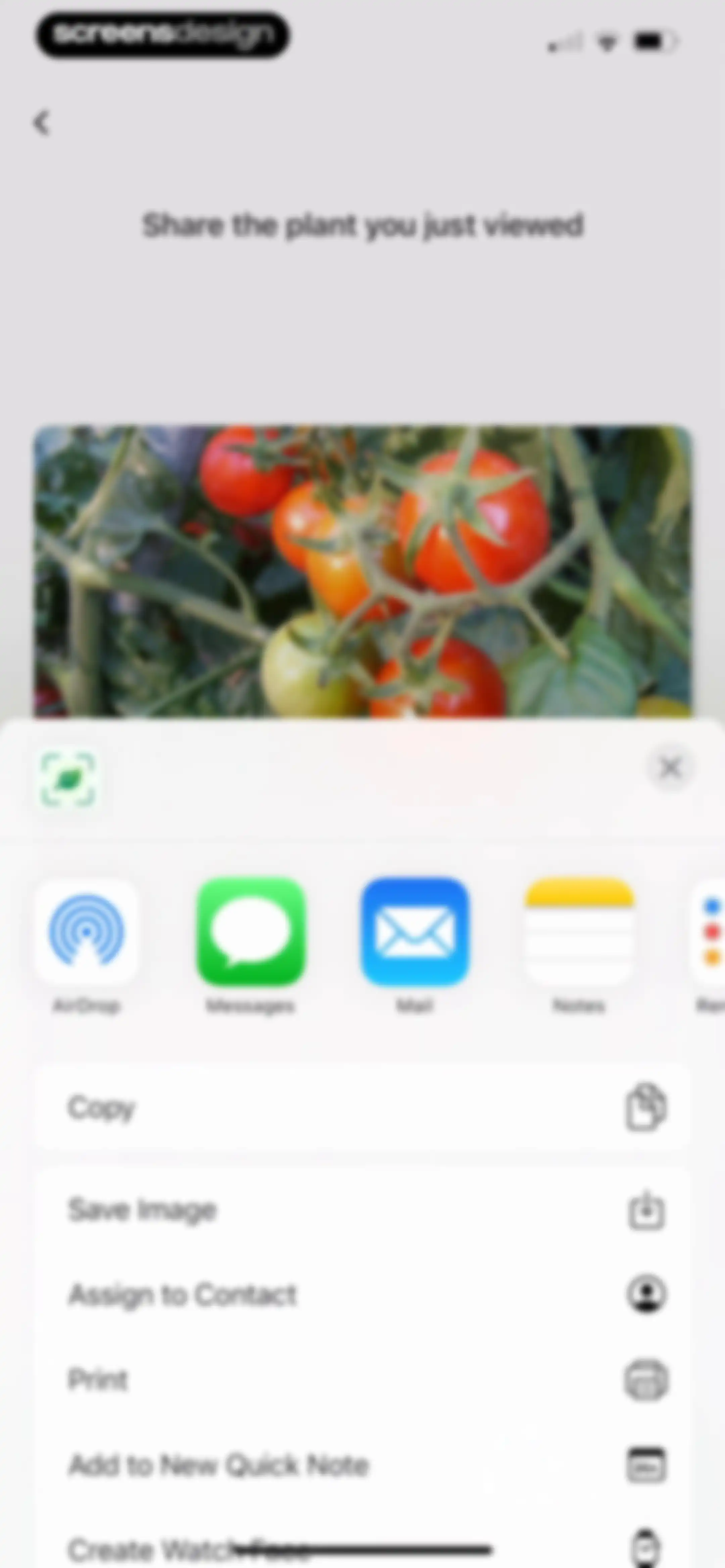 Identify My Plant Now screen 24