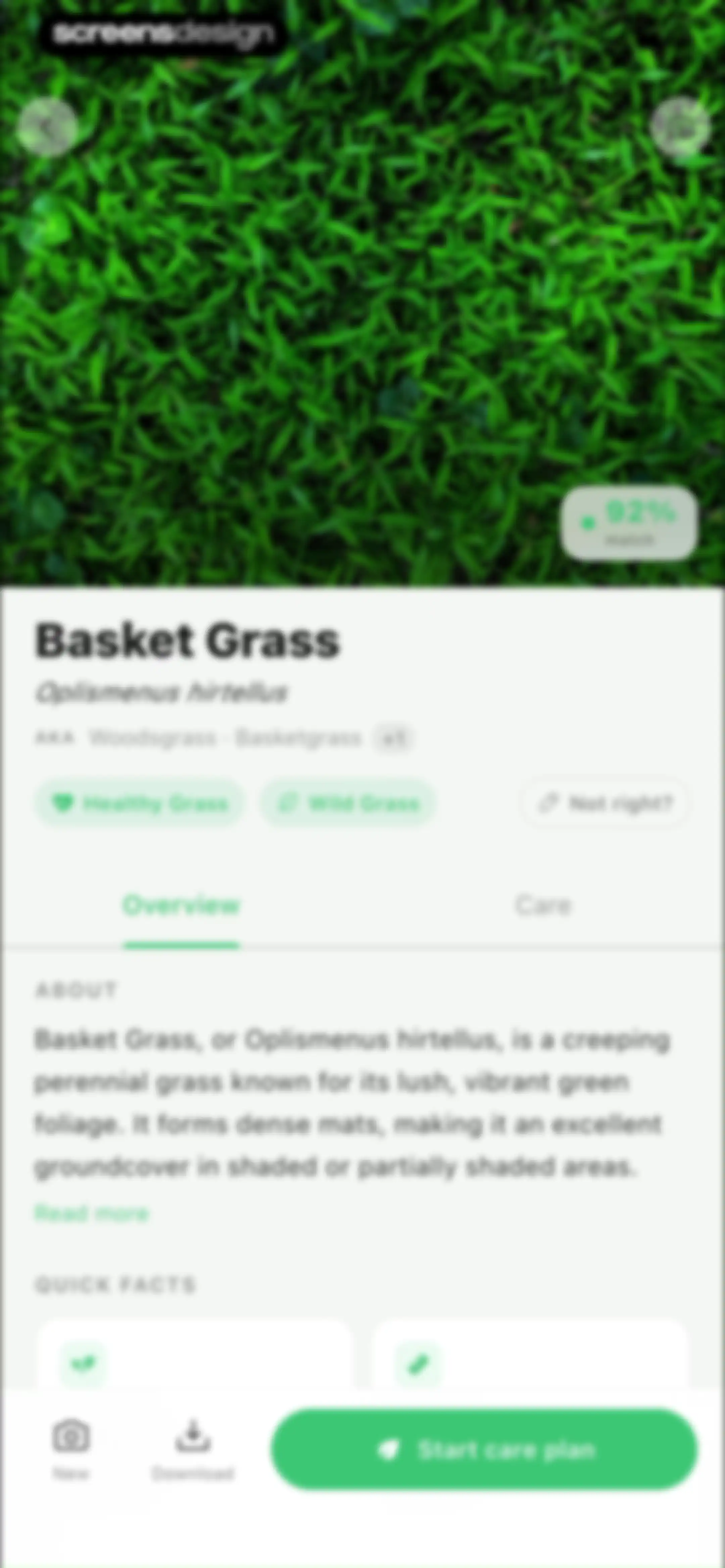 Grass Identifier: AI Scan screen 48