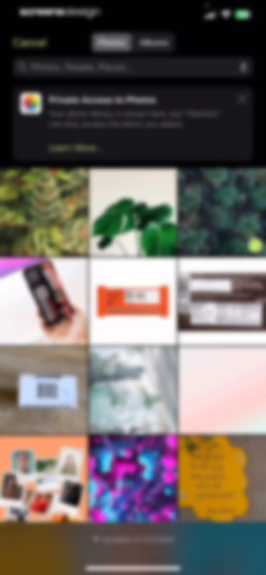Plantion - Plant Identifier screen 23