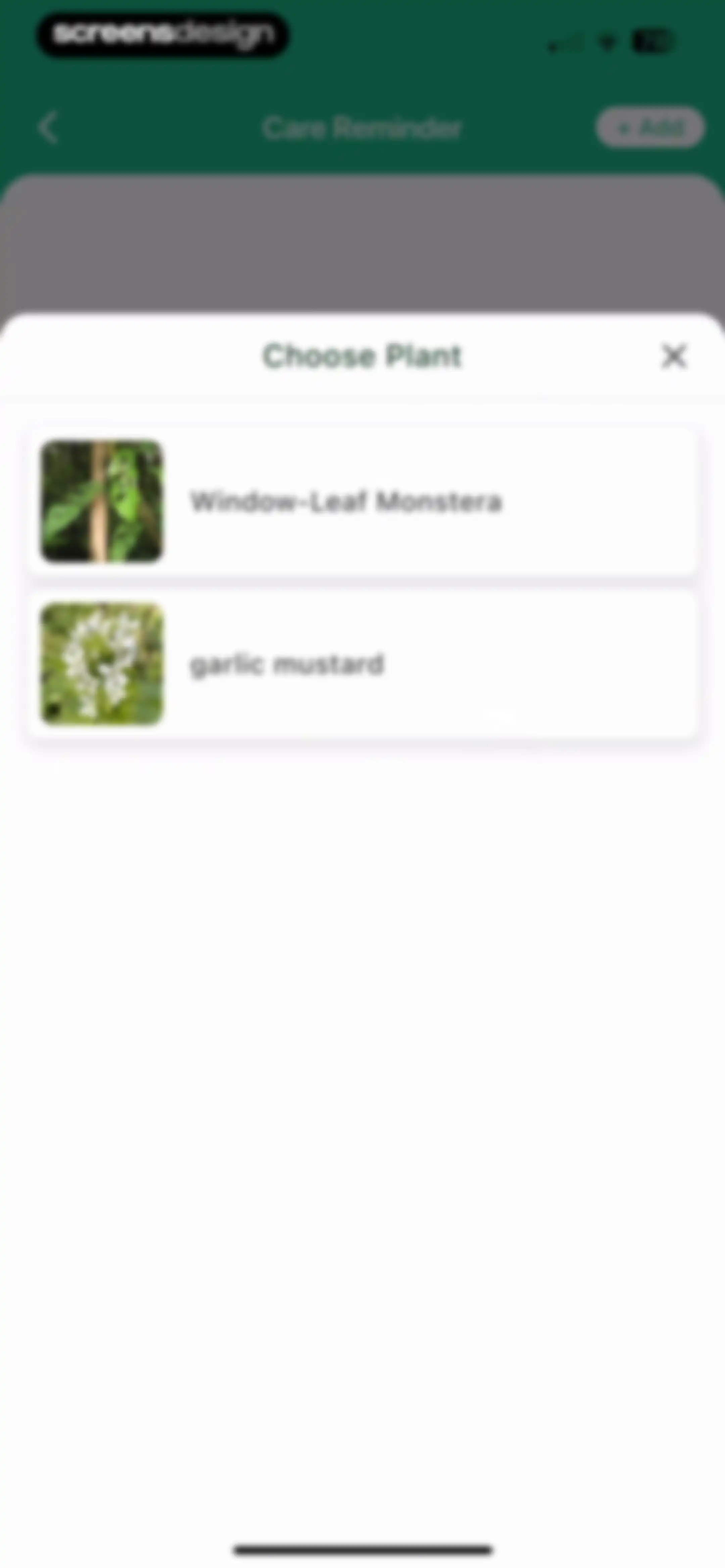 Plant Identifier: ChatPlant AI screen 41