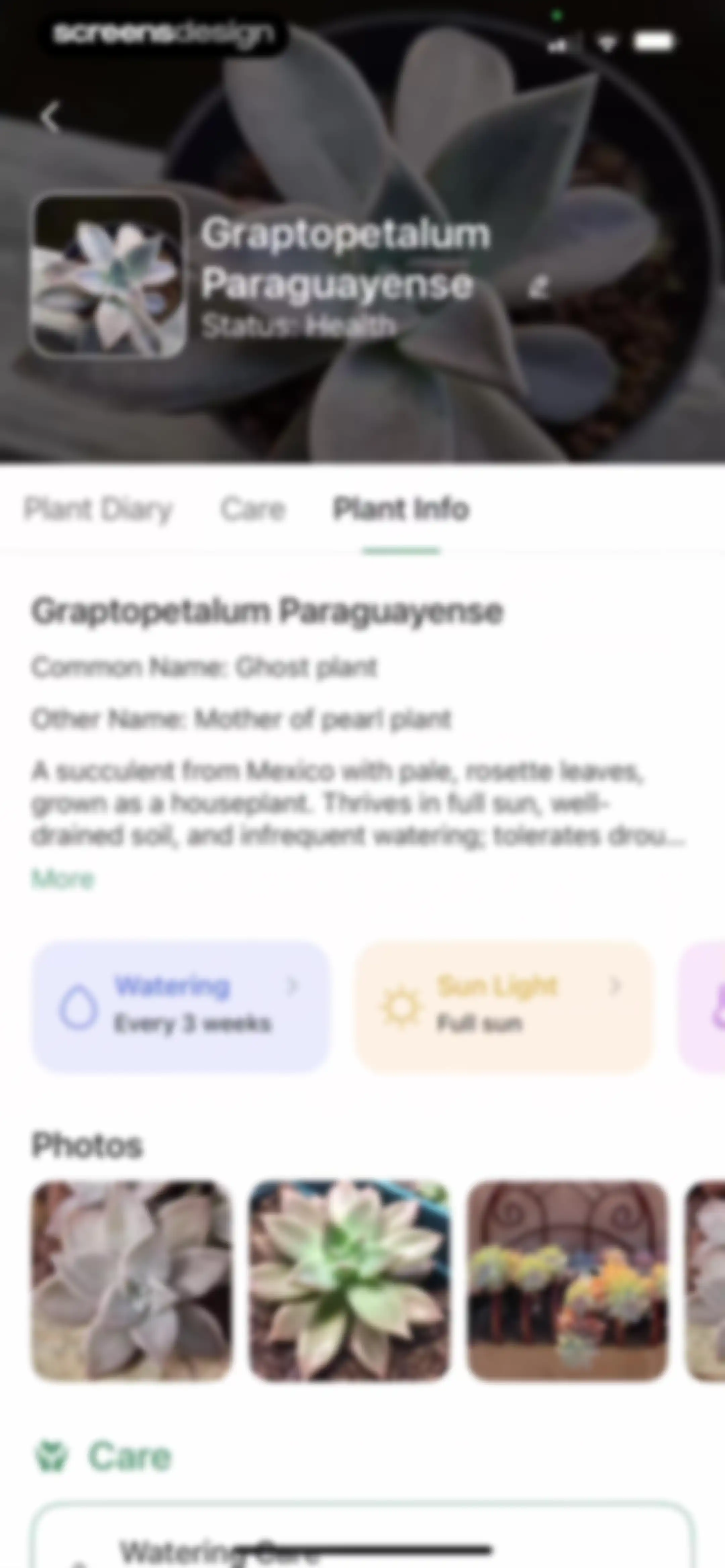 Verde Finder : identify plants screen 71