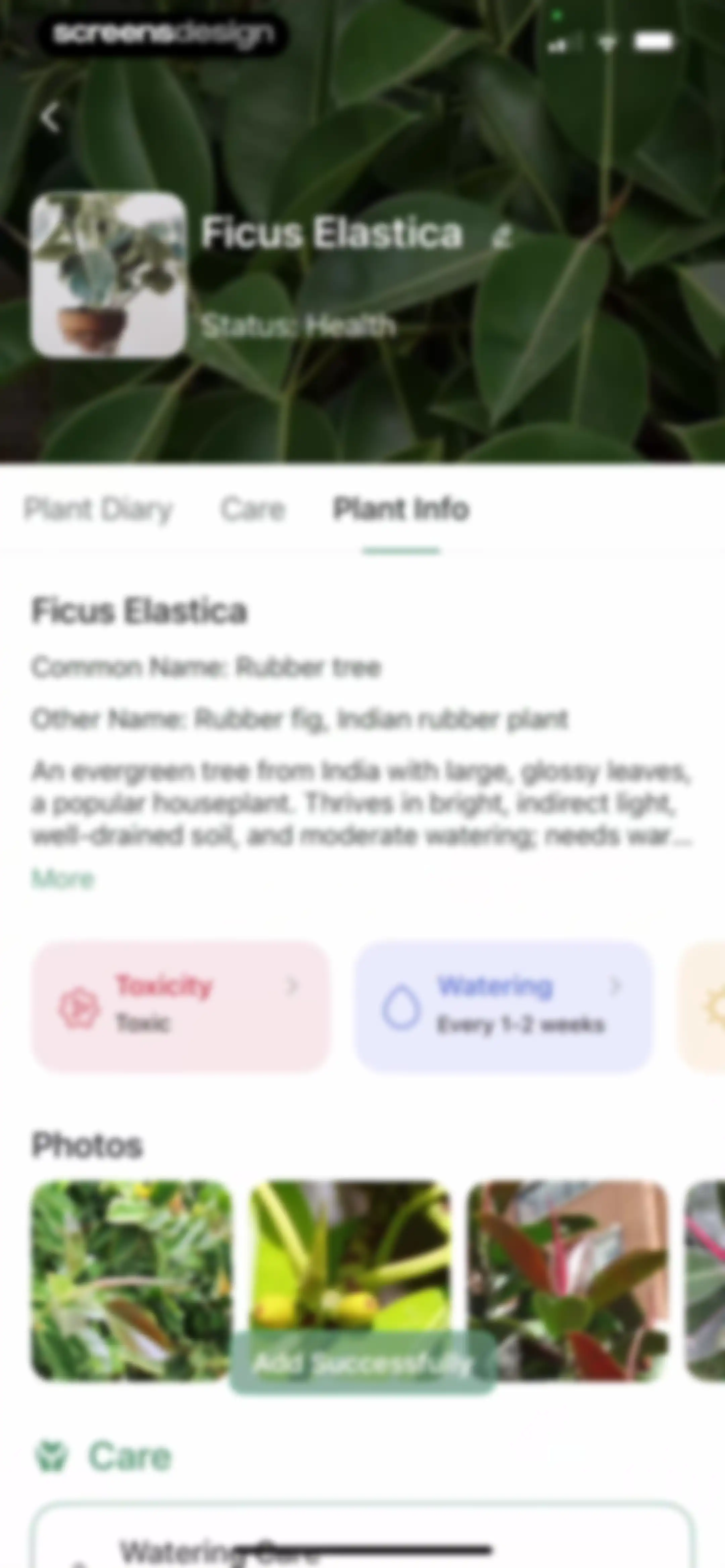 Verde Finder : identify plants screen 47
