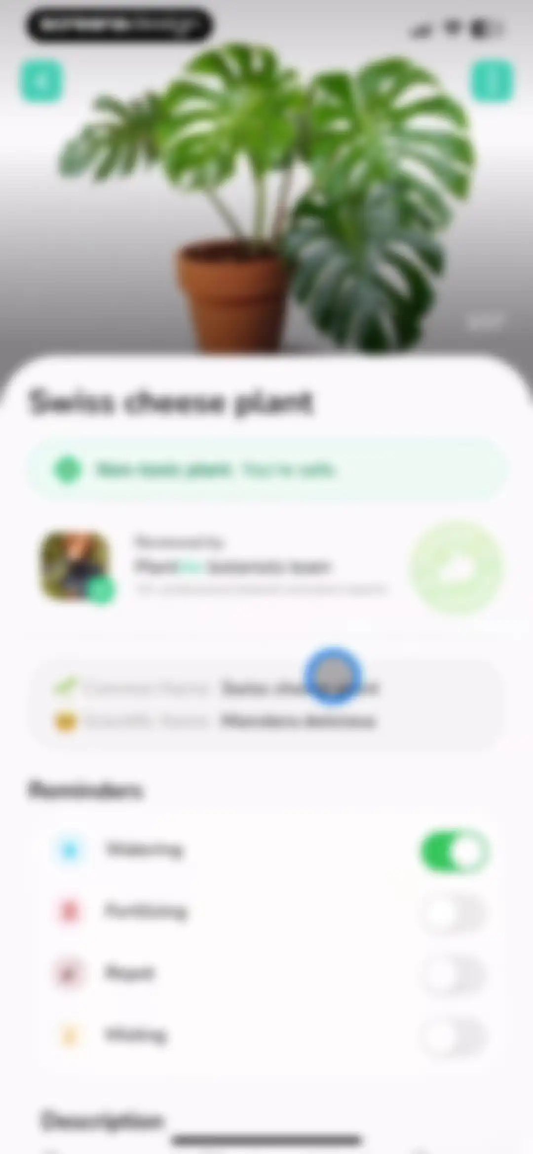Plant Identifier - PlantMe screen 32