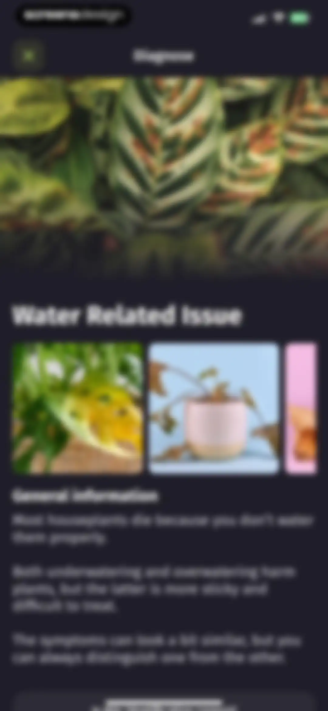 Plantion - Plant Identifier screen 38