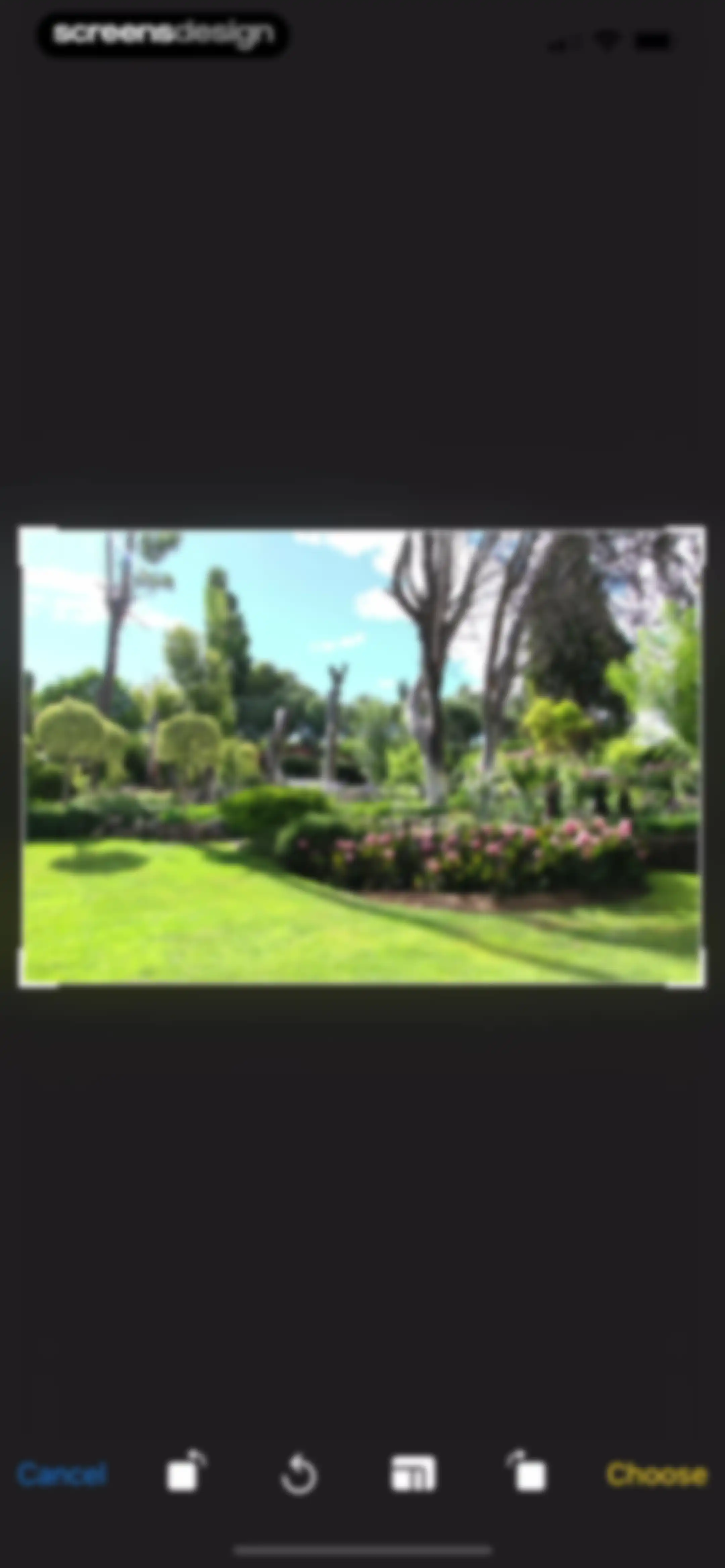 Skylight App screen 31