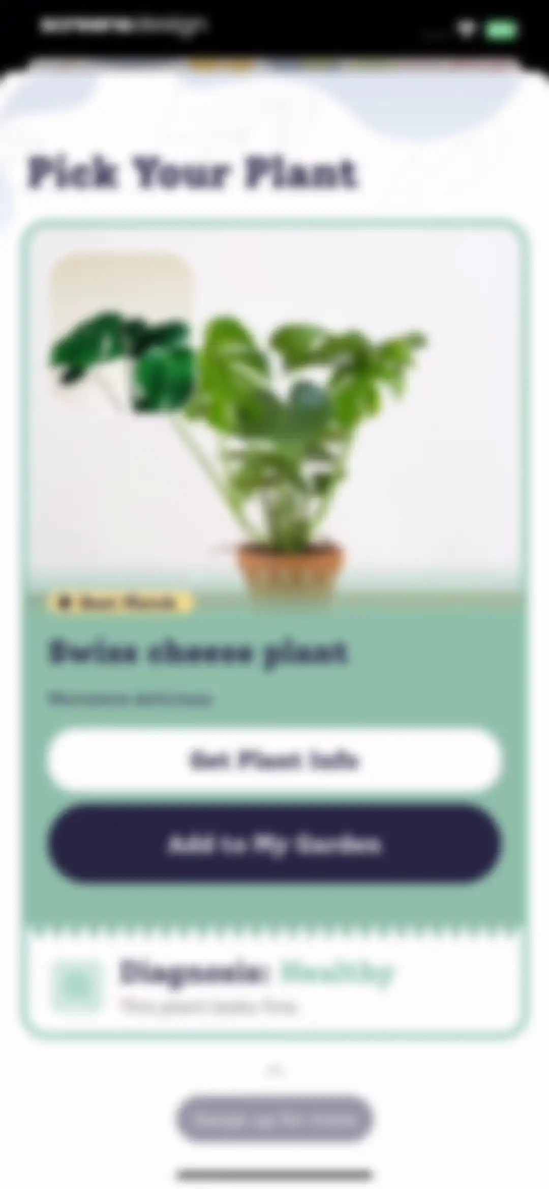 Plant Identifier, Care: Planty screen 45