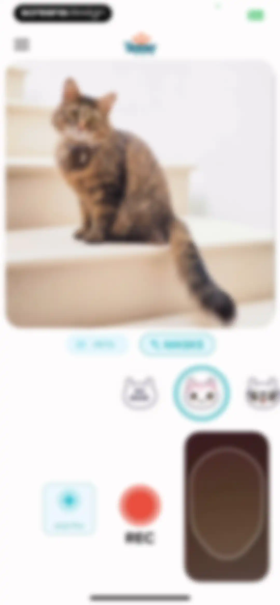 My Talking Animal & Pet App screen 16