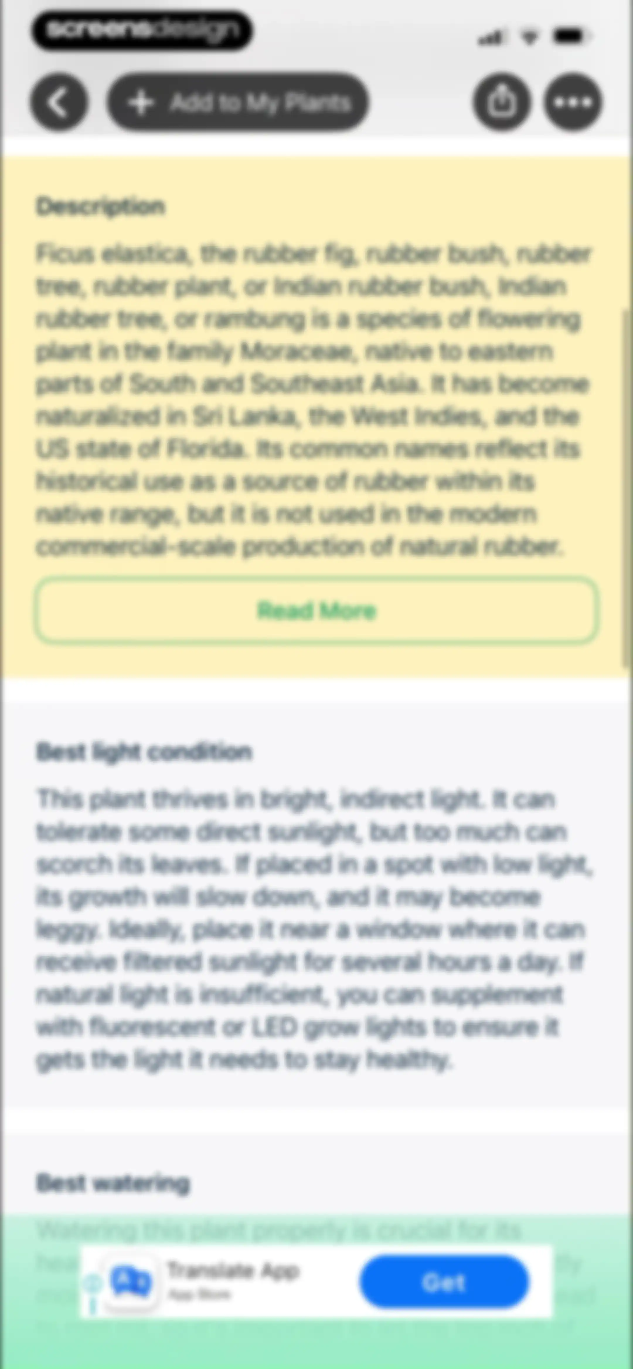 Free Plant Identifier screen 20
