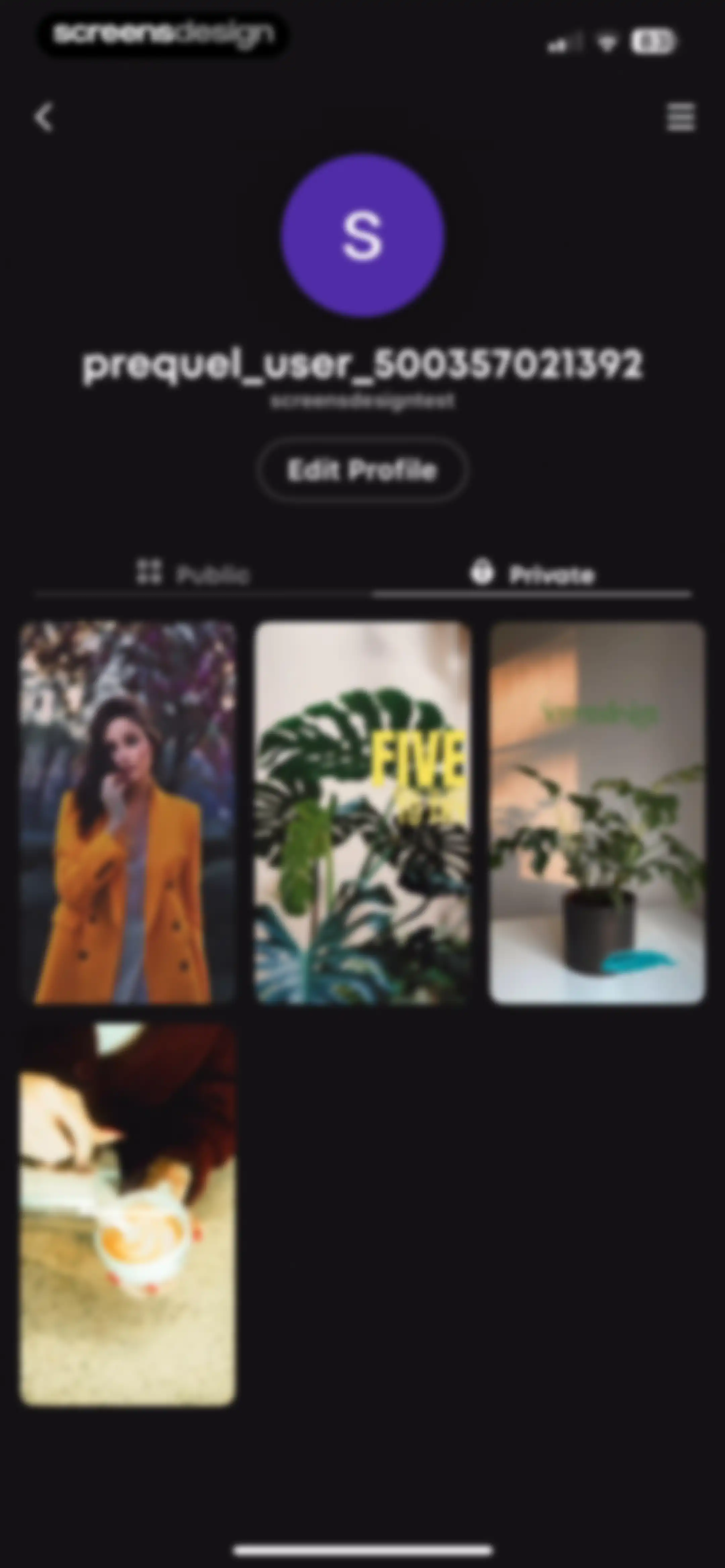 Prequel: Photo & Video Editor screen 154