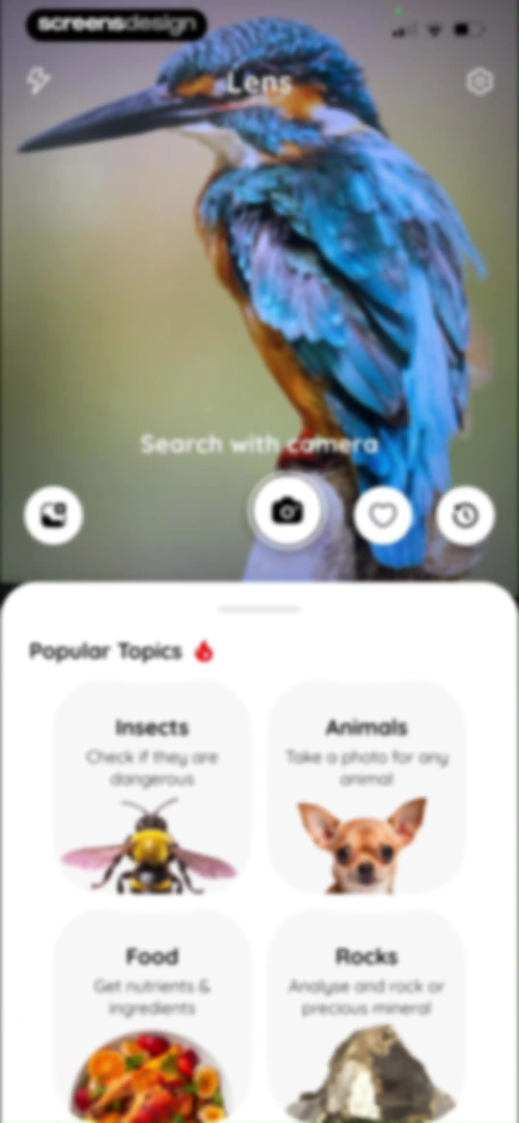 Lens: Translate & Image Search screen 16