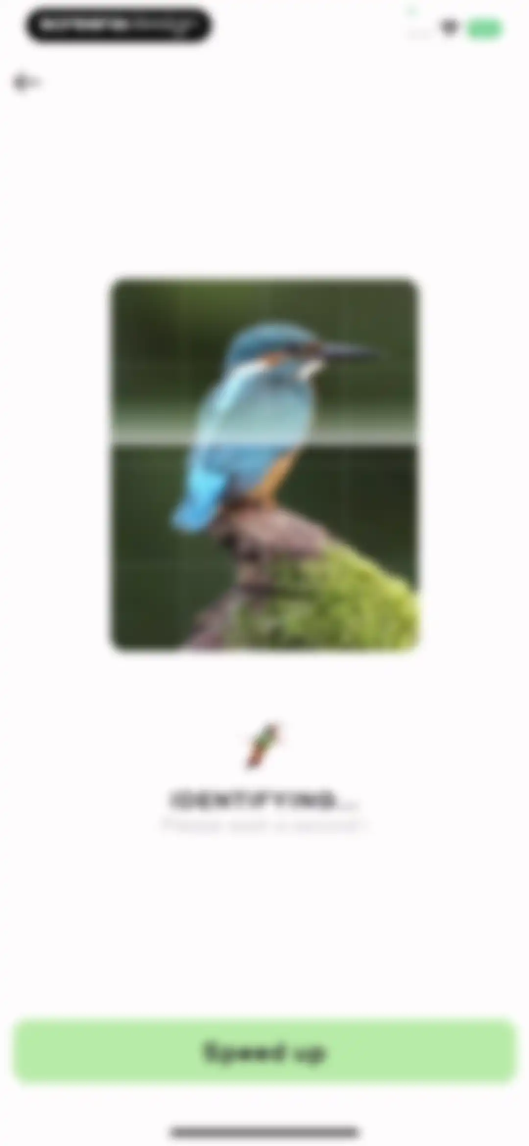Bird Sounds Identifier Call ID screen 16