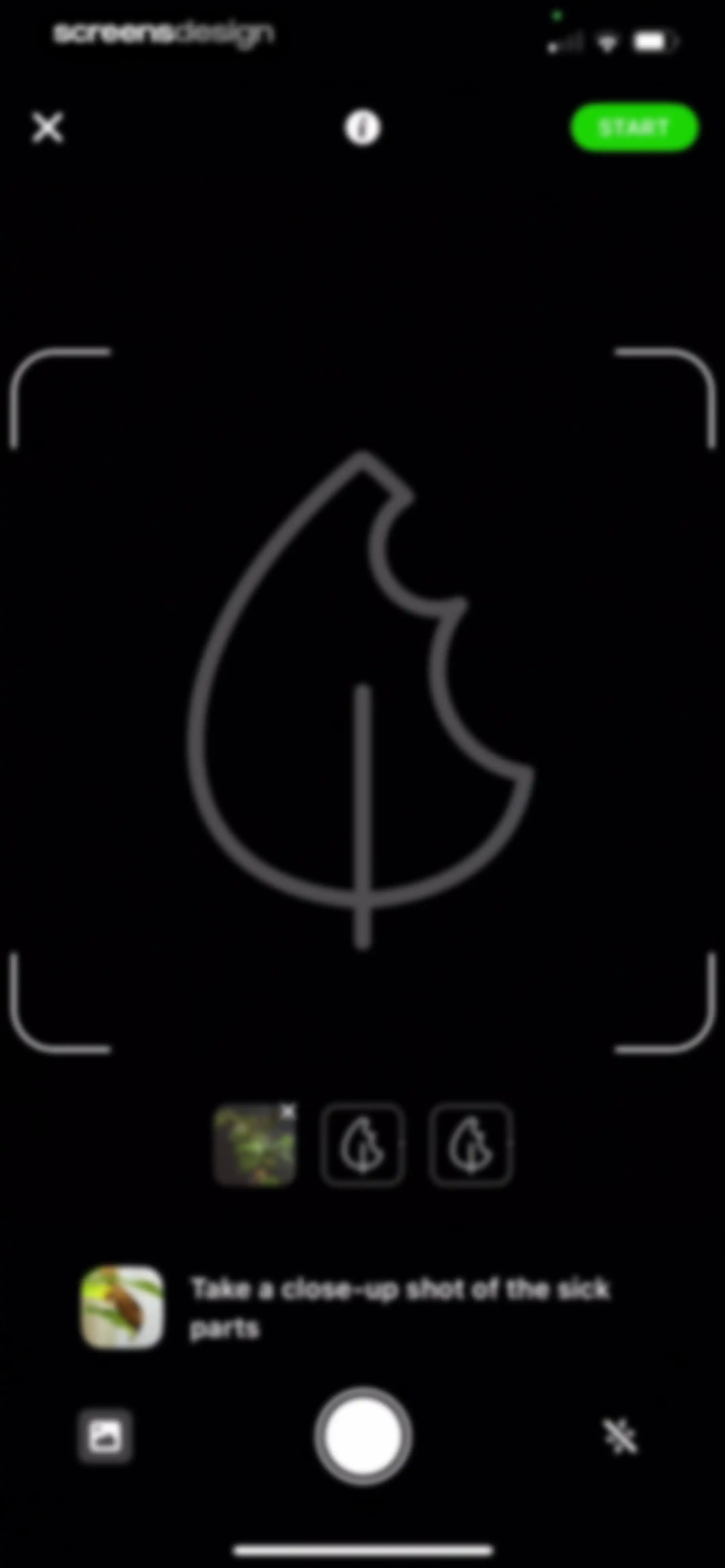Plant Identifier & Care App screen 117