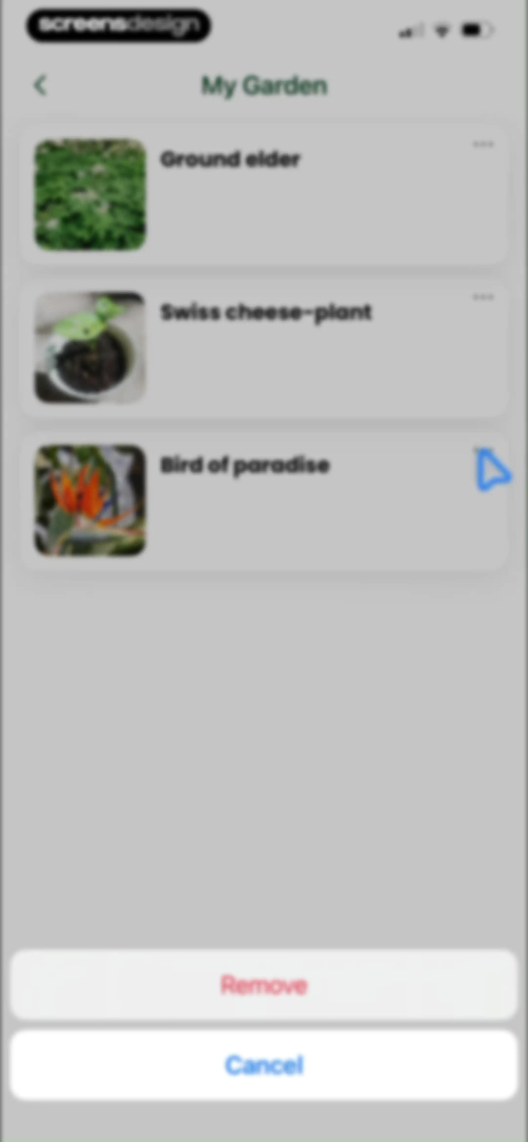 PlantAI: Identifier & Diagnose screen 96