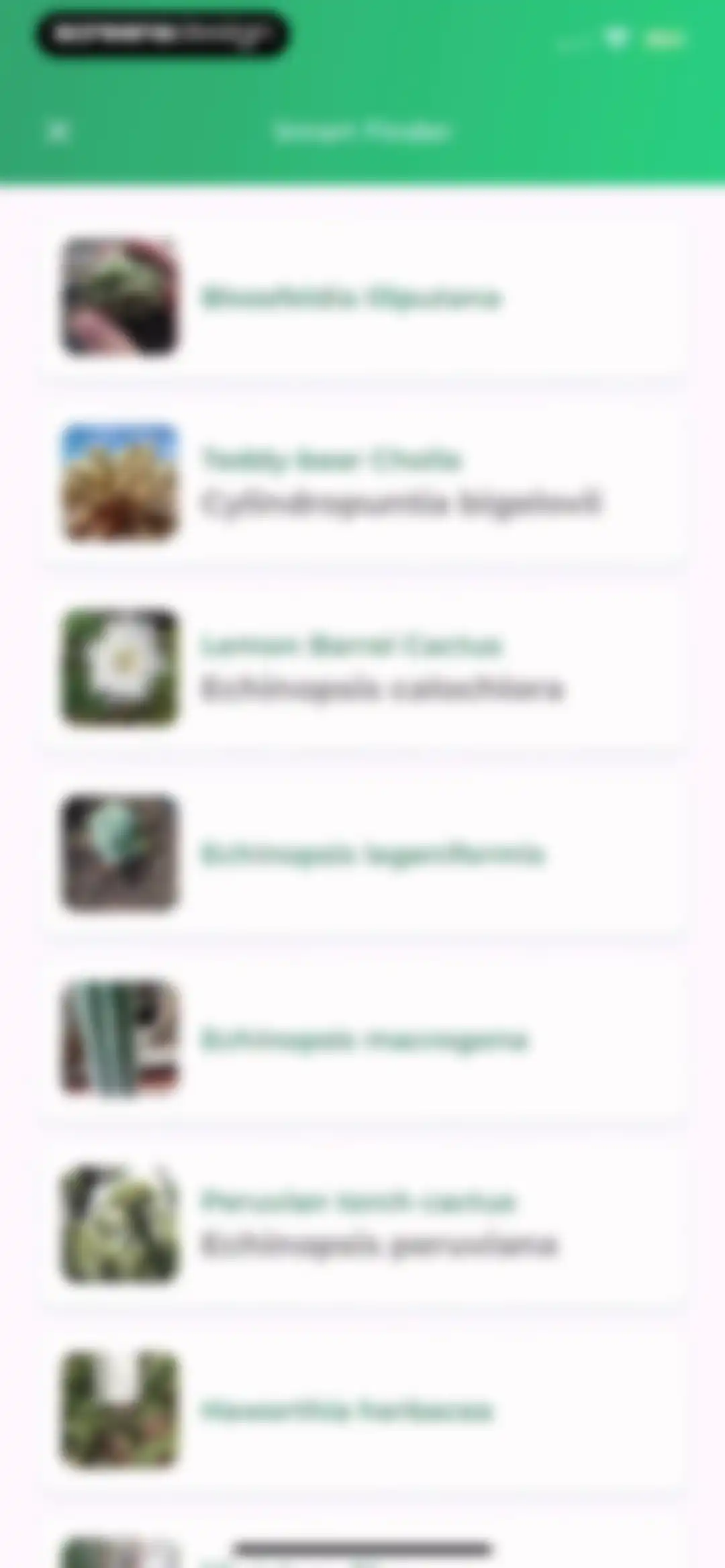 Plant Identifier: LeafSnap screen 46
