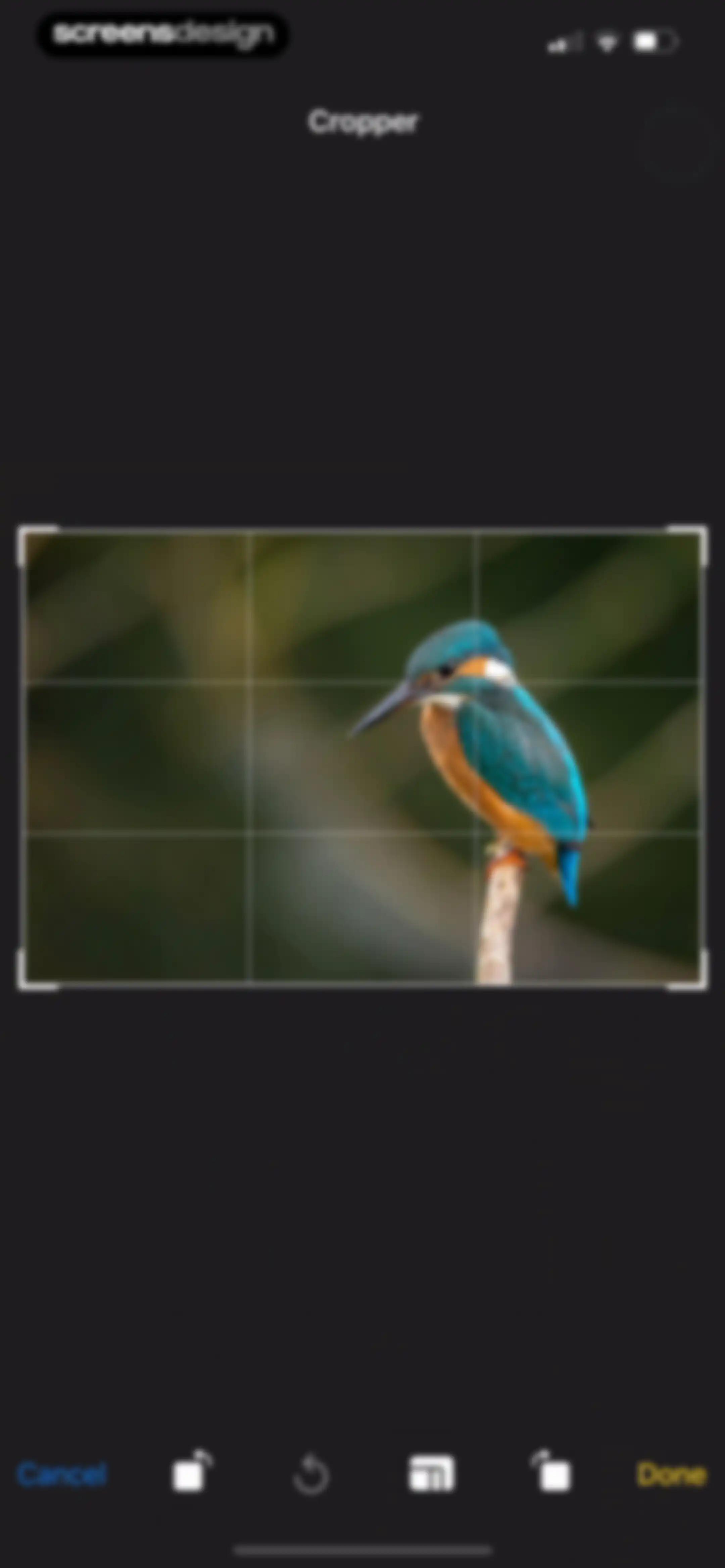 Flibbo - AI Video Image Music screen 84