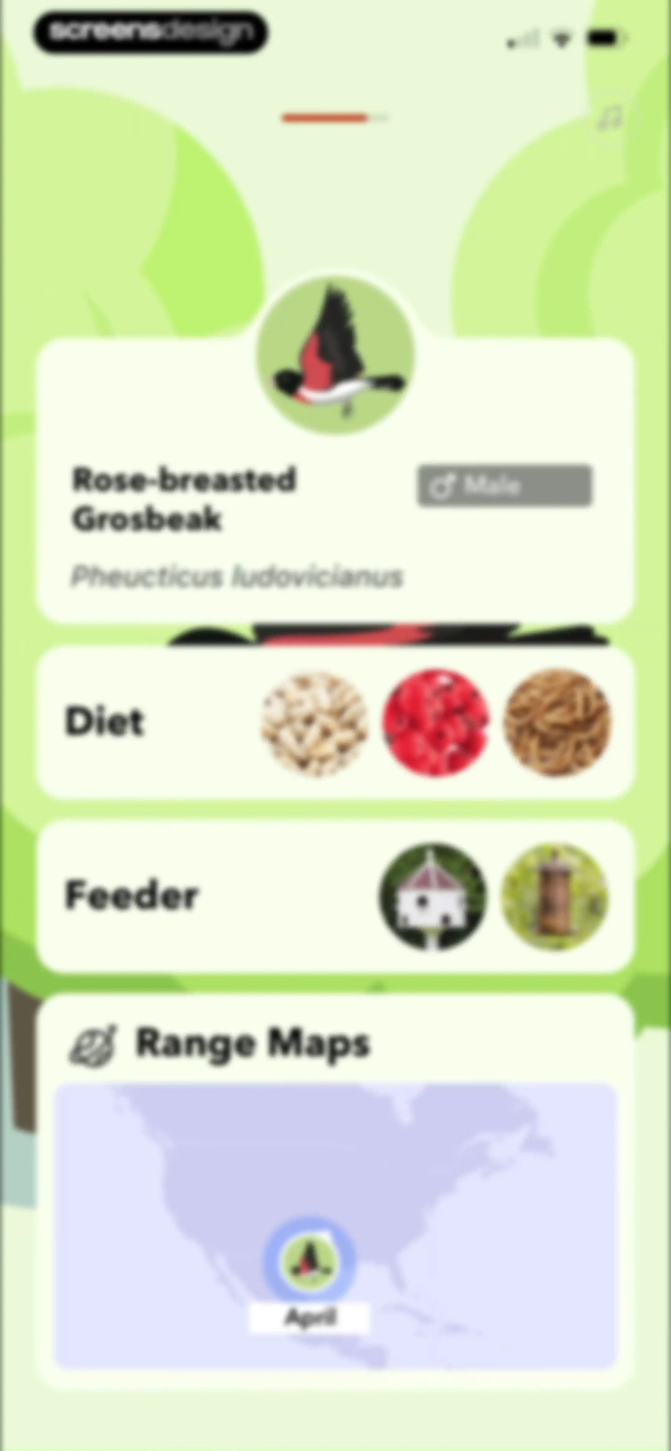 Picture Bird: Bird identifier screen 11
