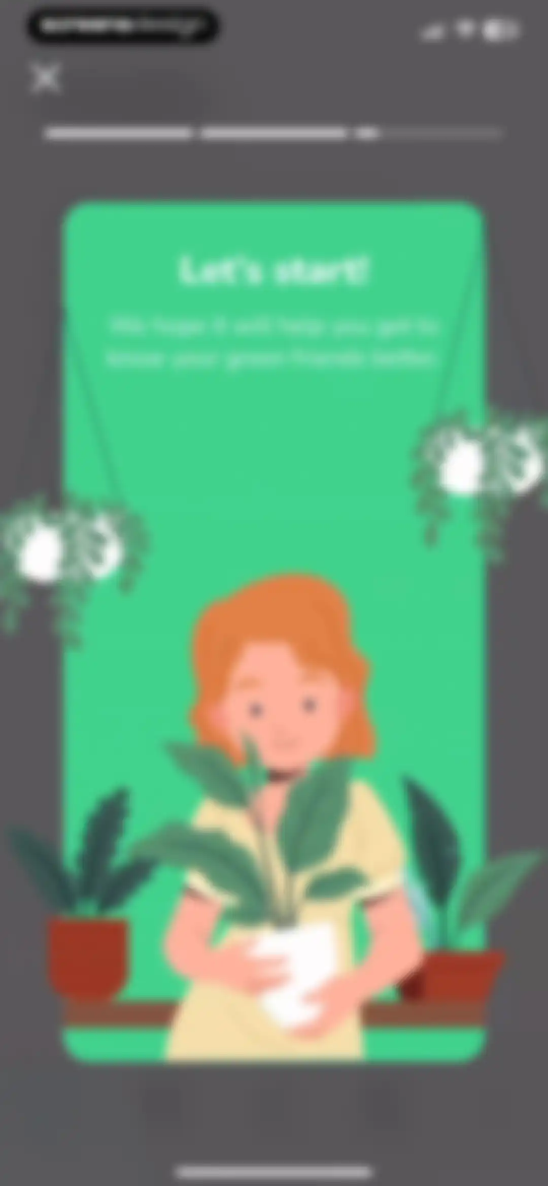 Plant Identifier - PlantMe screen 25