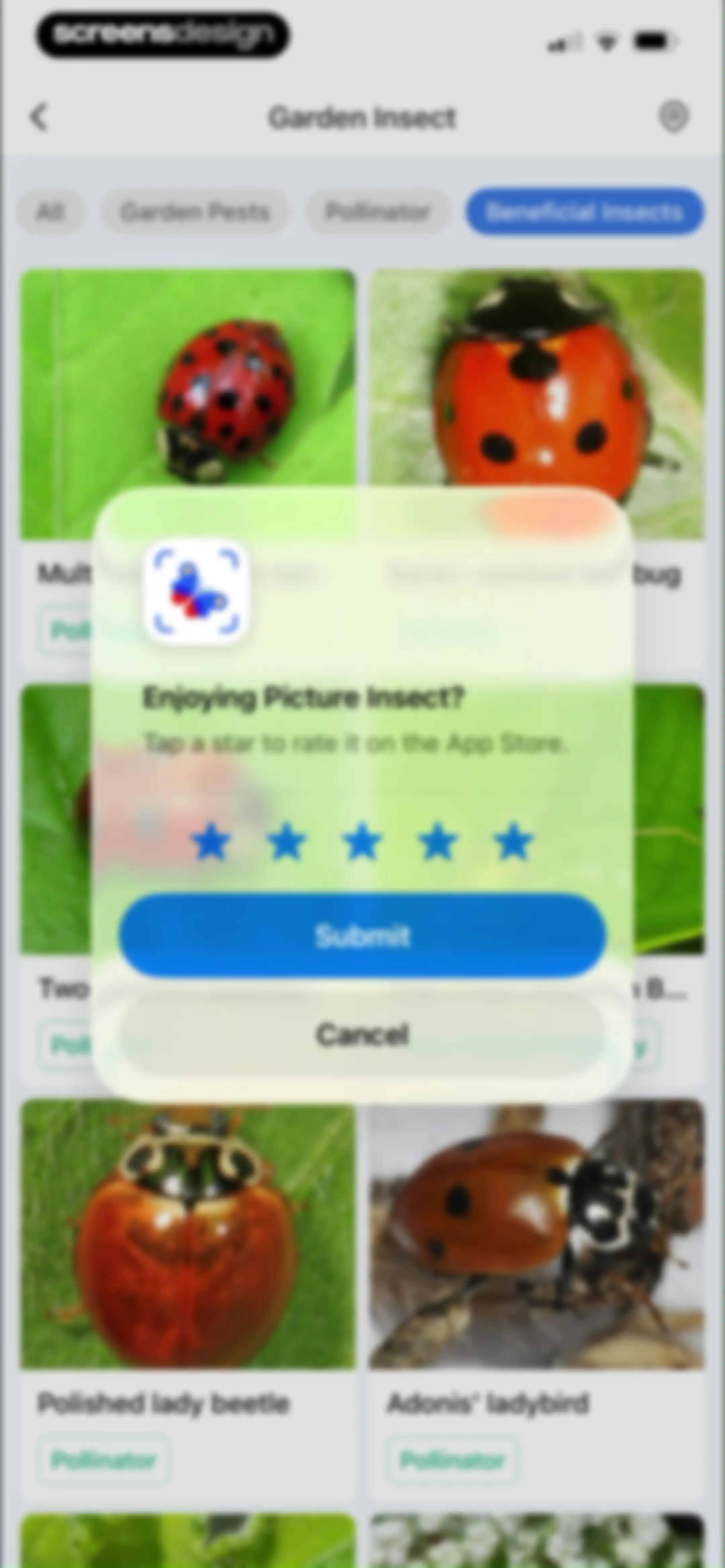 Picture Insect: Bug Identifier screen 75